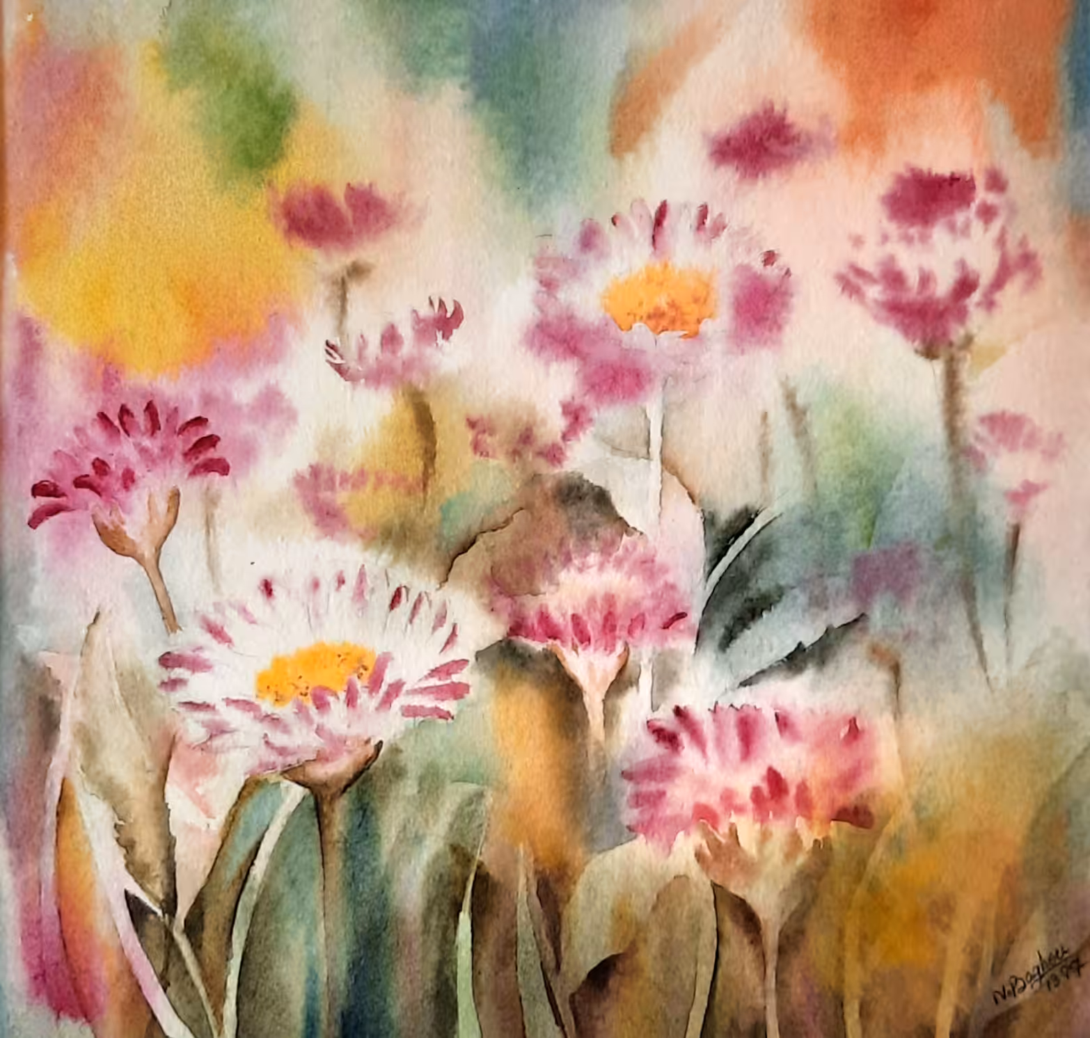 Chrysanthemum garden
