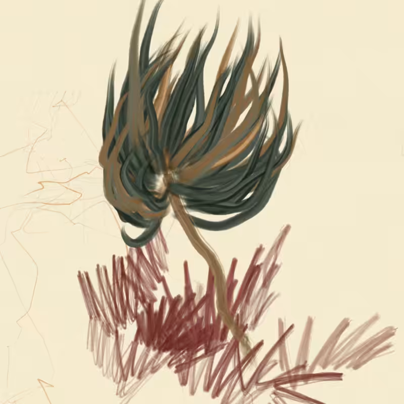 The Likeness of a Flower #66