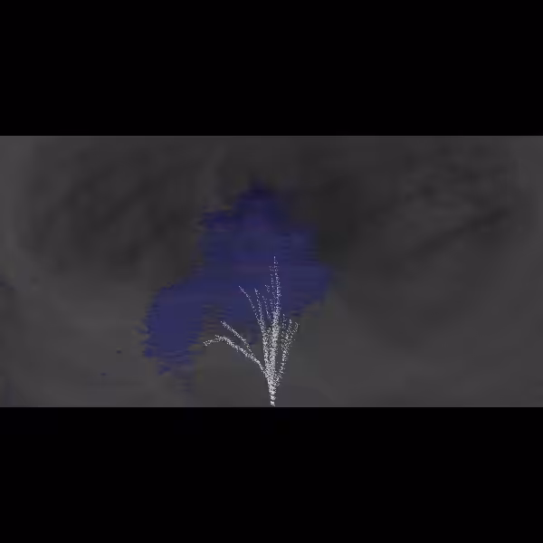 abhāva #55