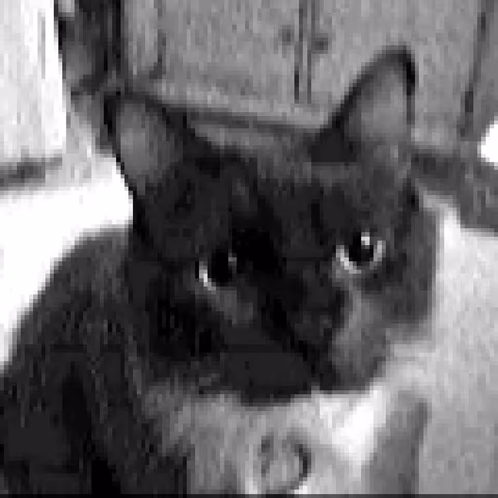 Milo the Cat #1