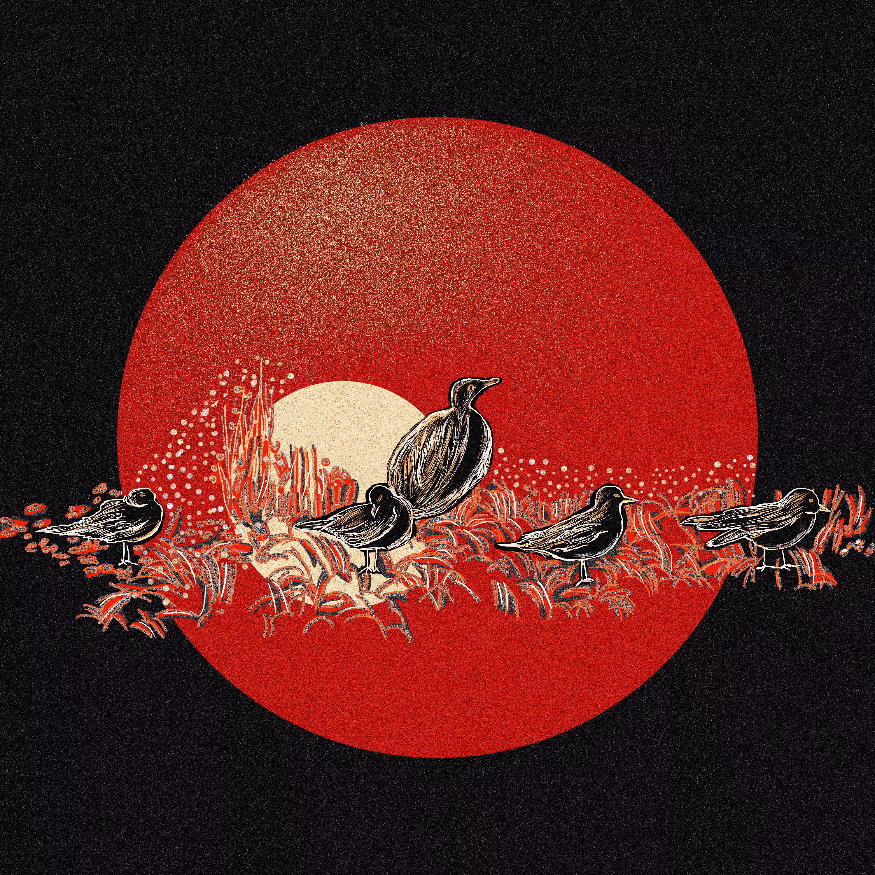 Red circle