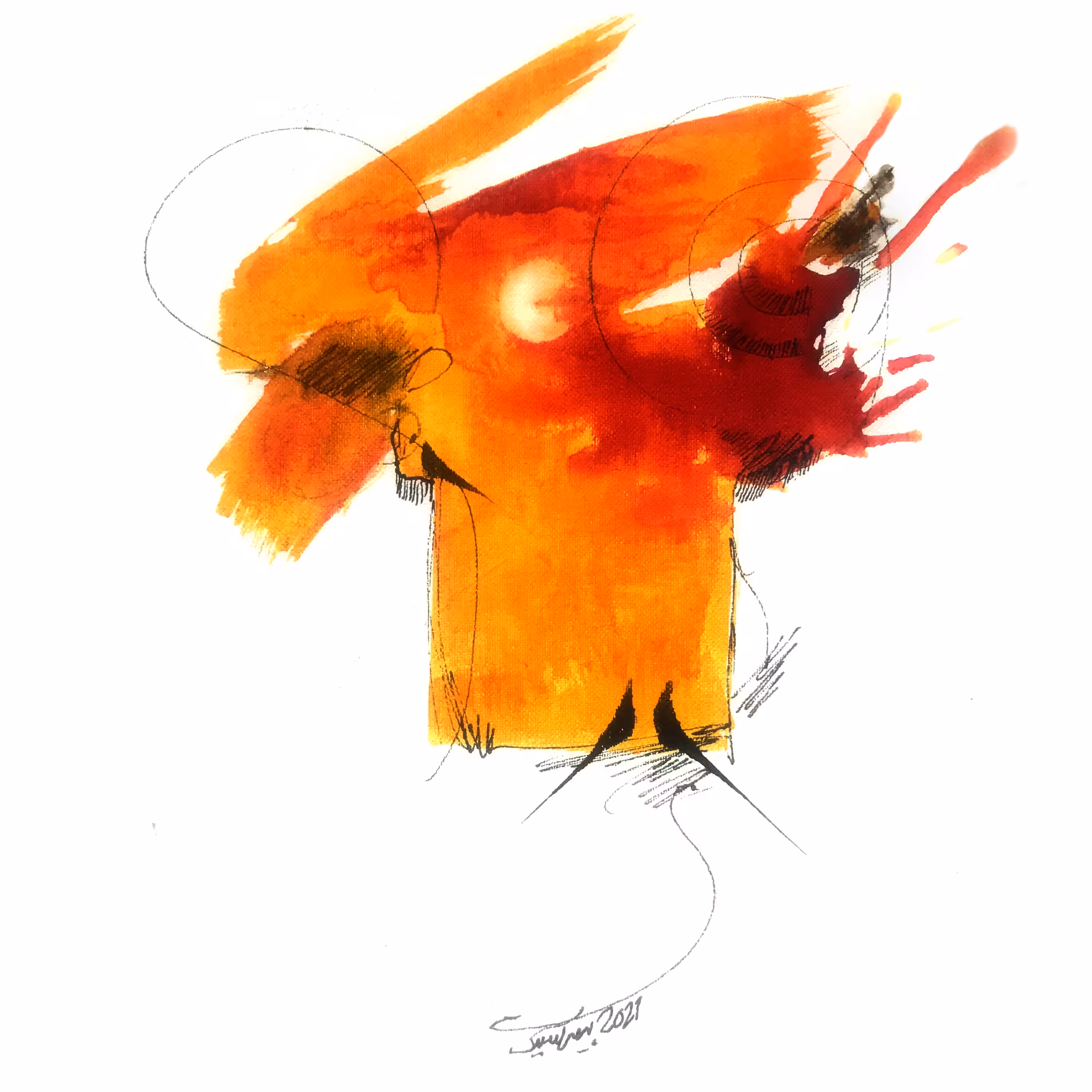 The life of birds