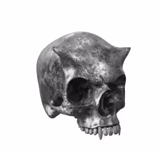 Steel Skull 360 #04