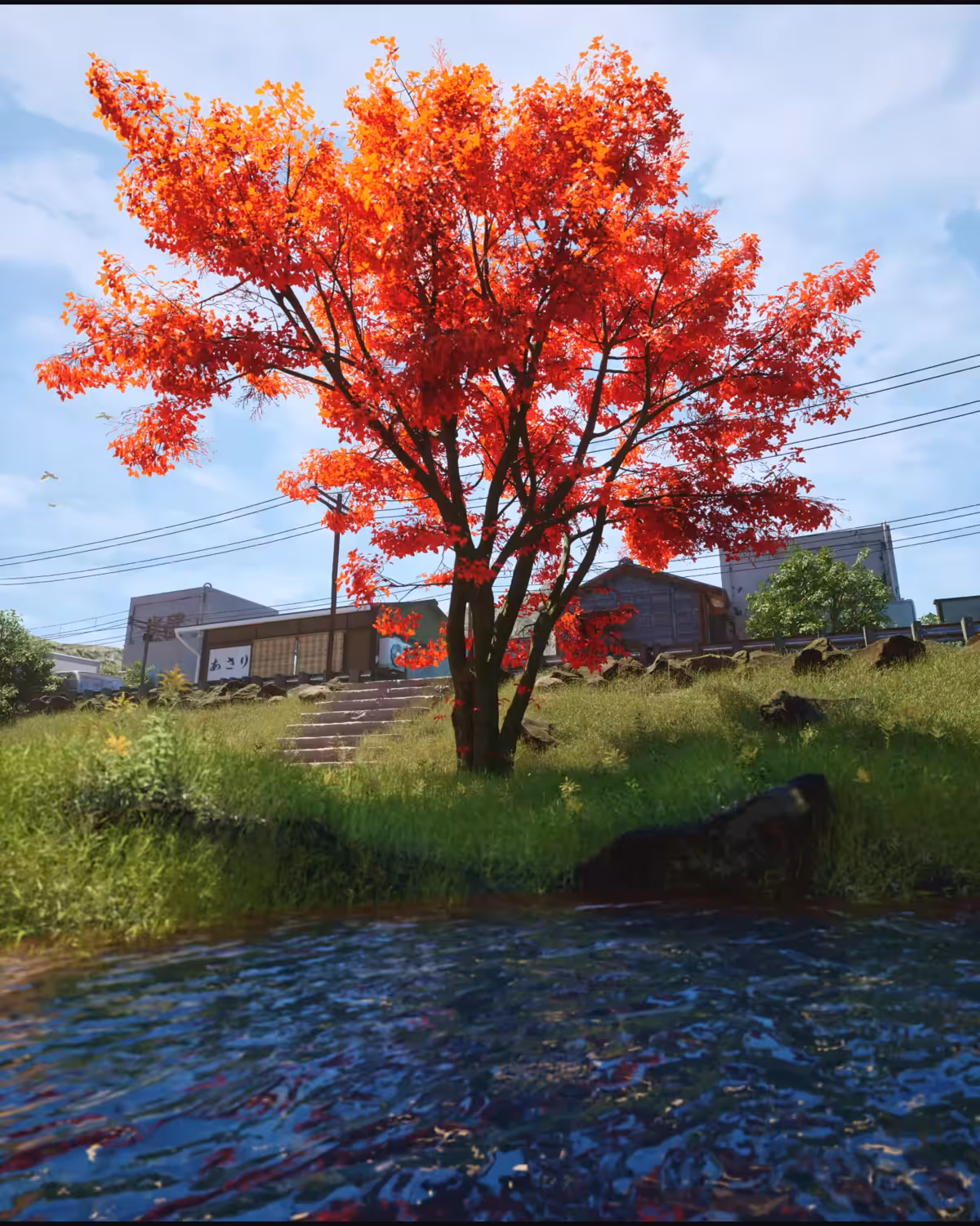 Serenity Beneath the Road