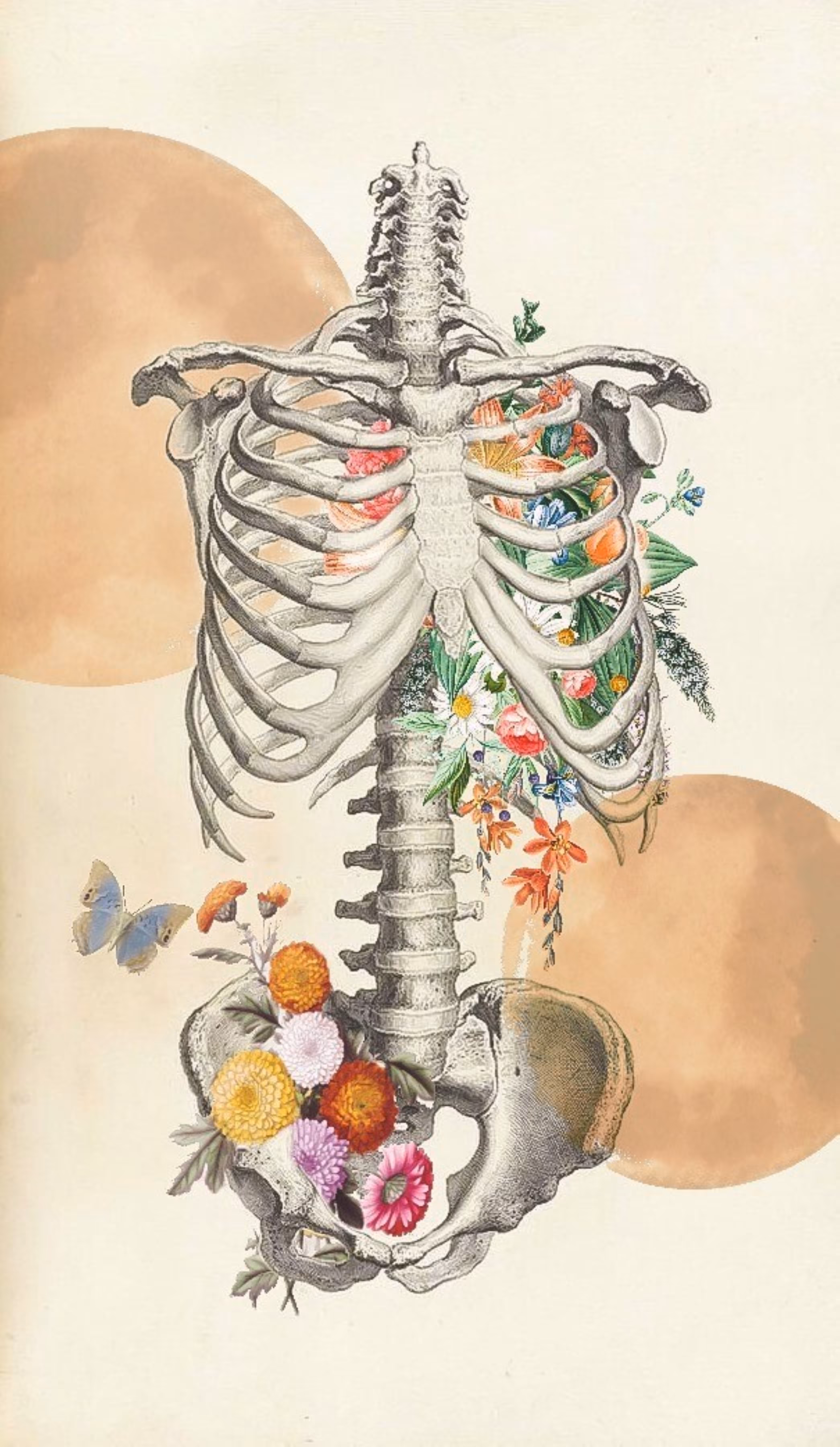 Spinal 