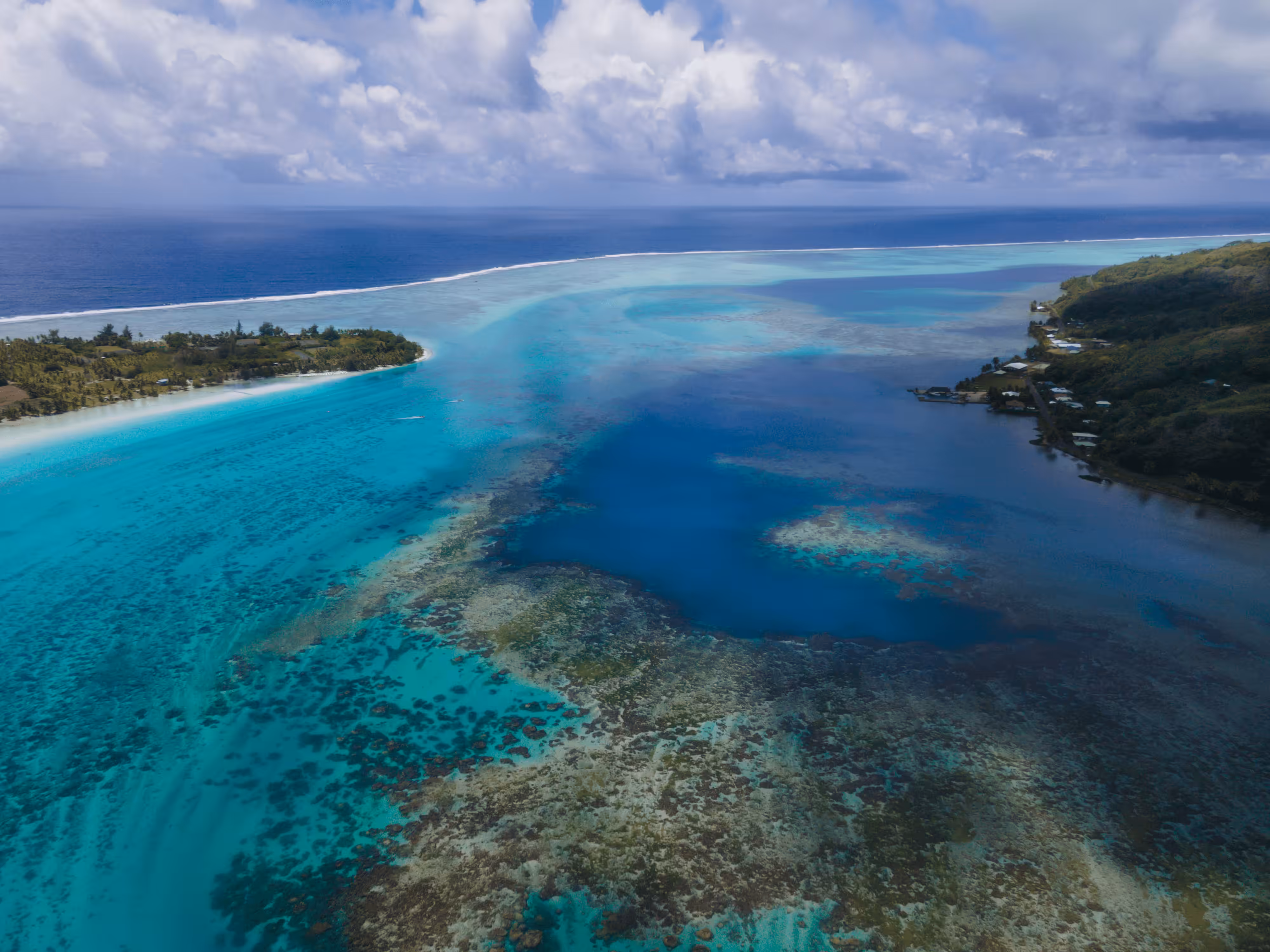 Polynesian Paradise #4