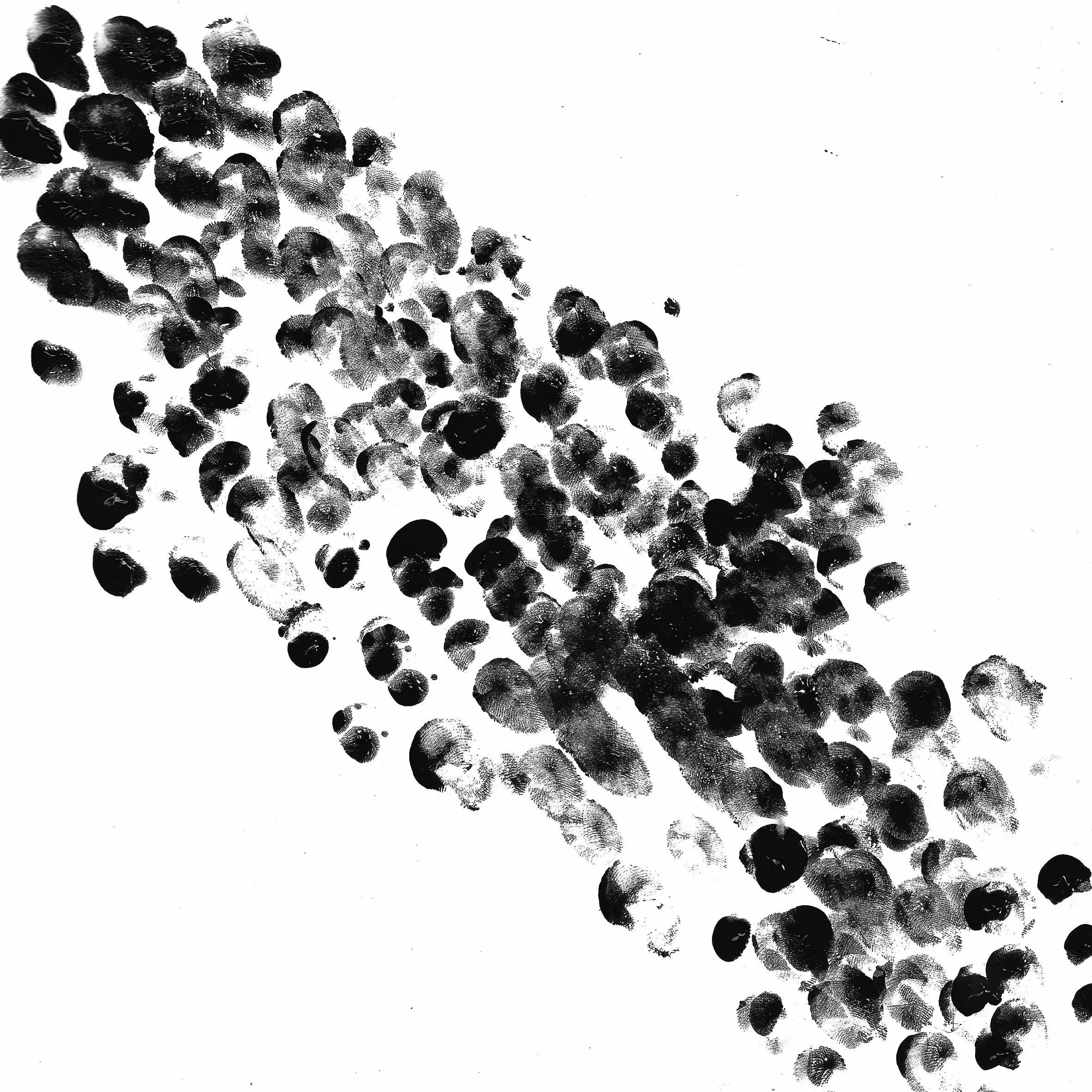 Fingerprint | 04