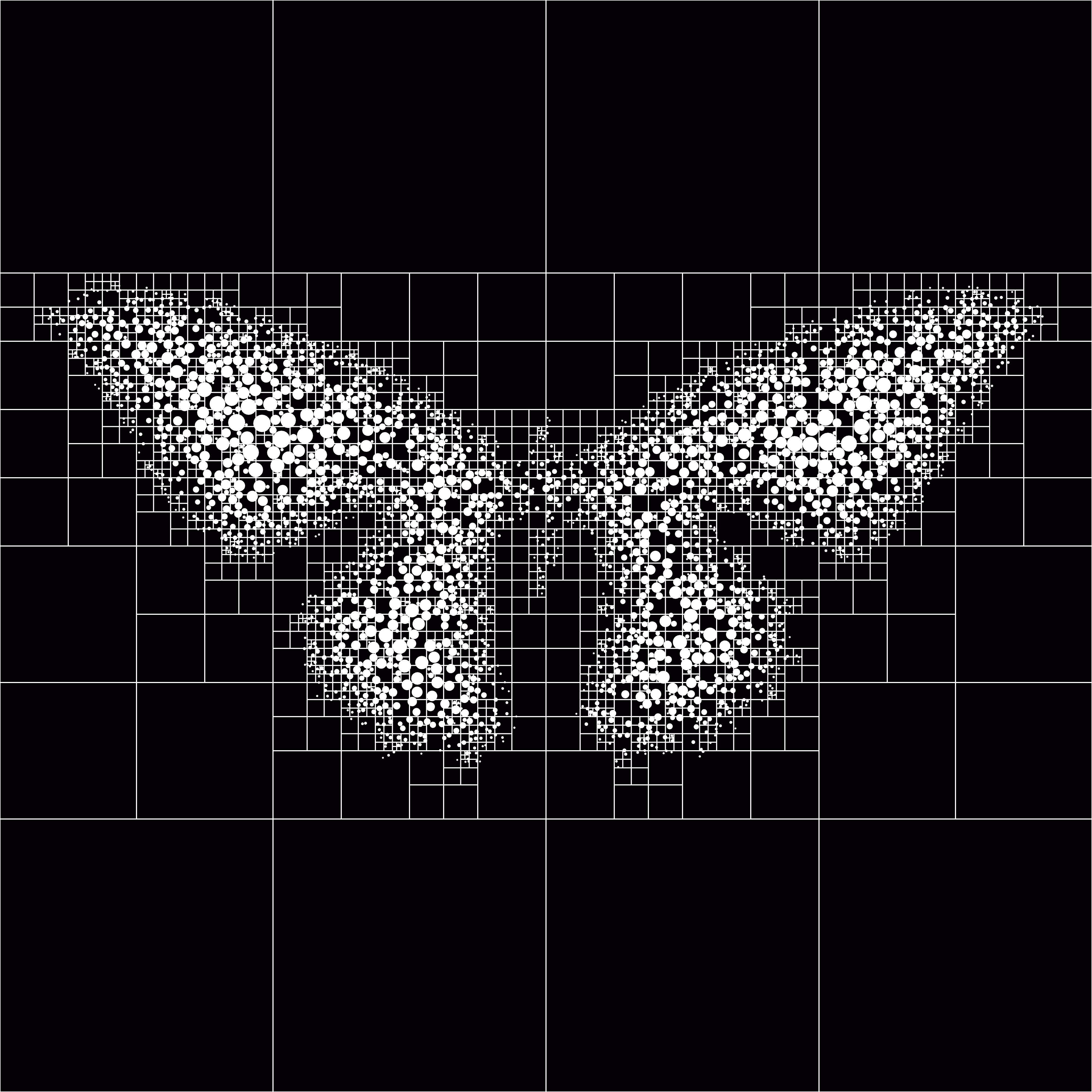 ALGO MOTH #1
