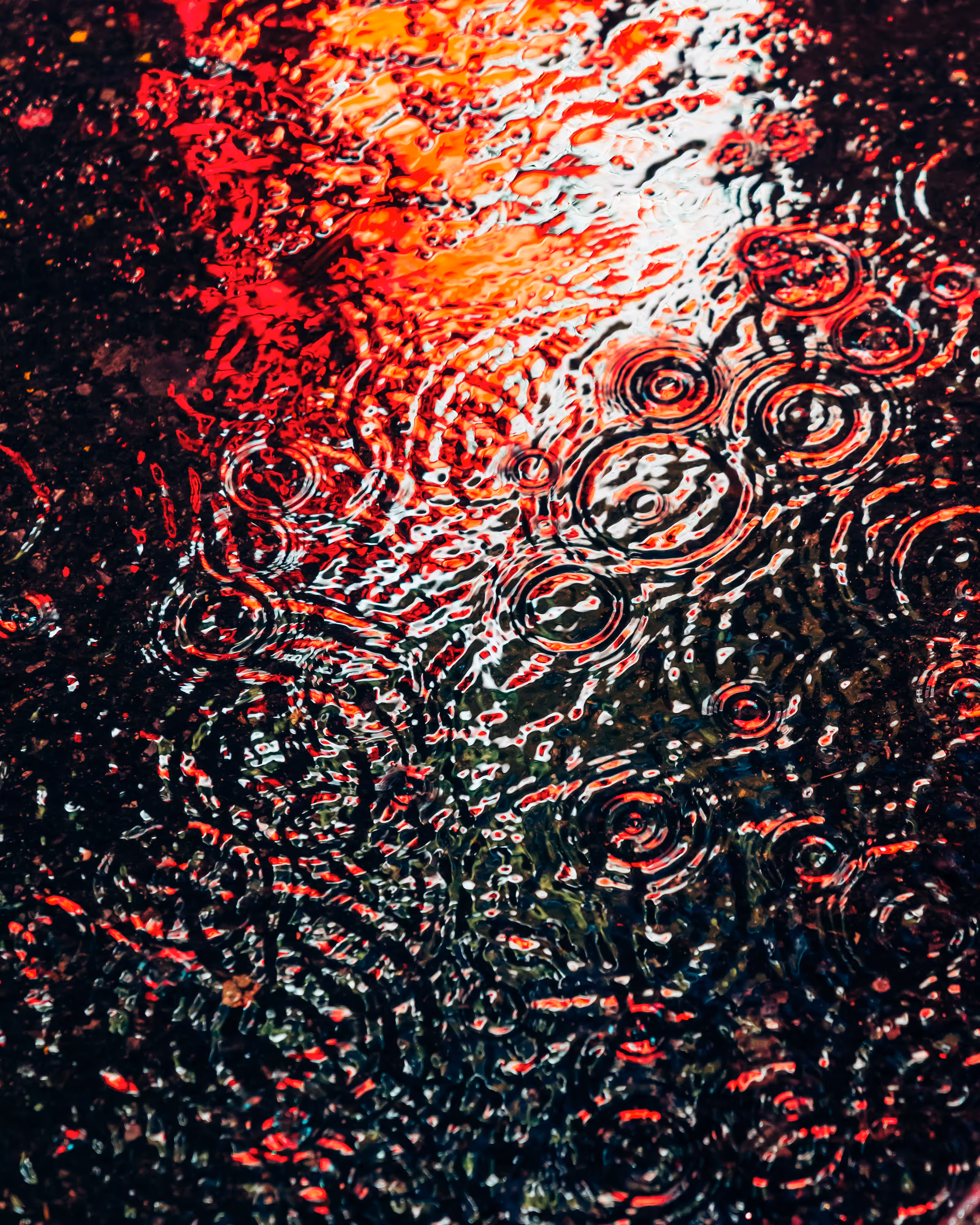 DRIP DROP: DRIP #556