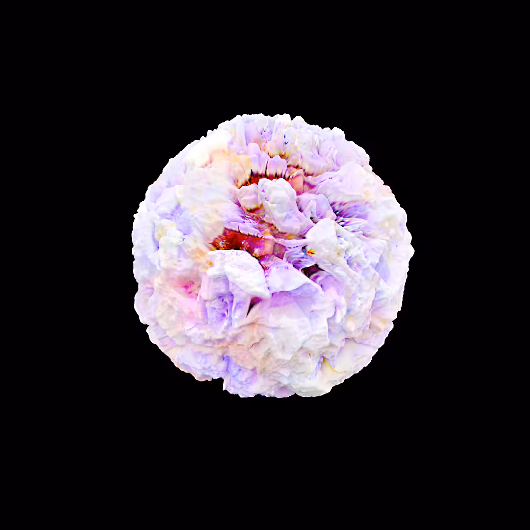 Blender Studies 004