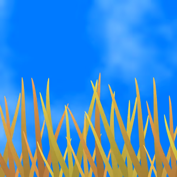 Fields of Ukraine #20