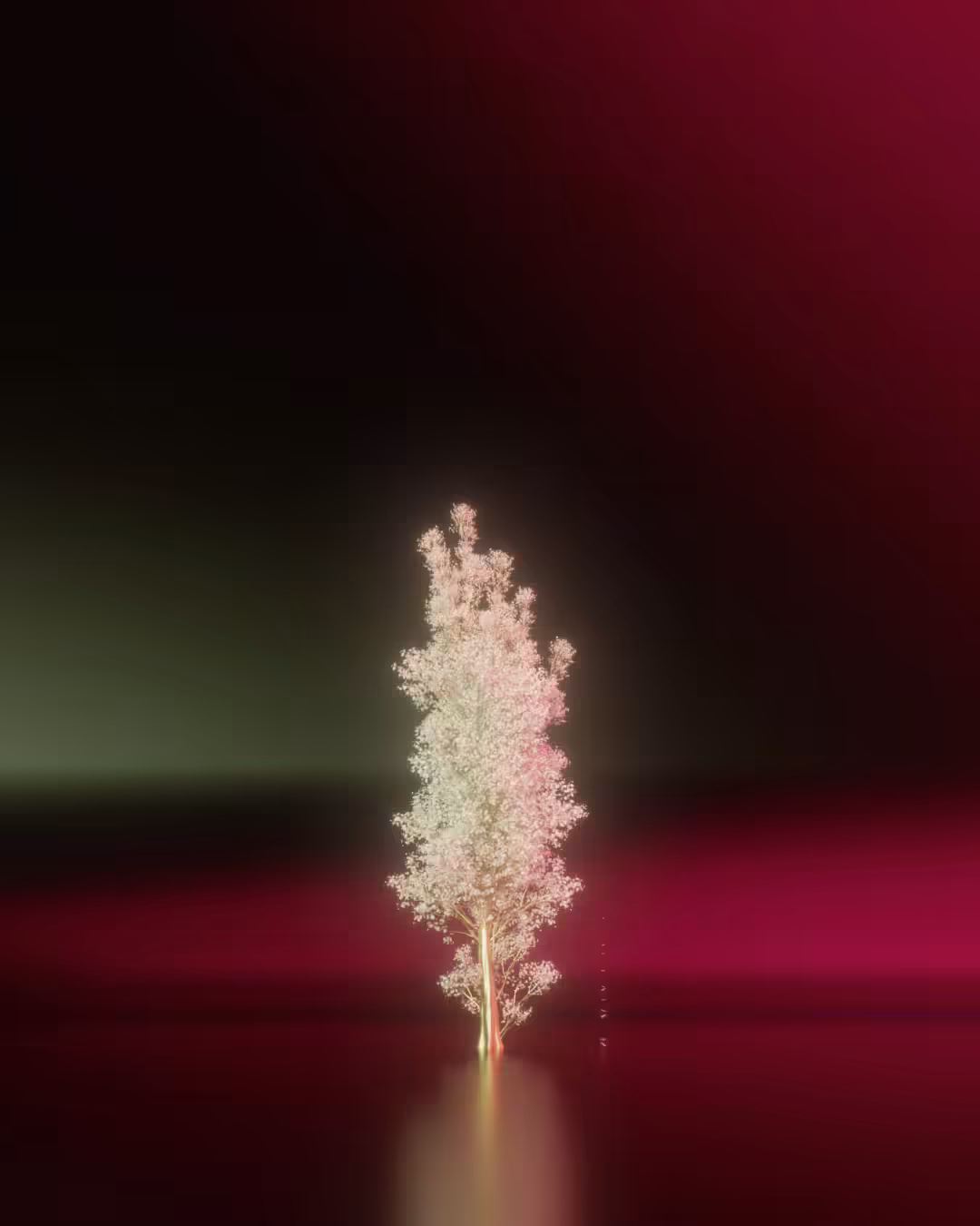 23003