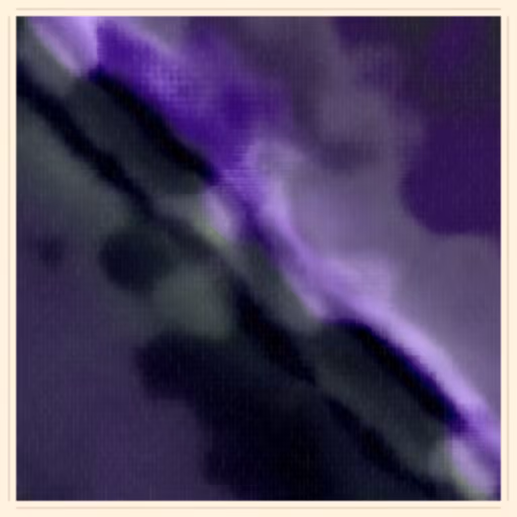 Figment #232