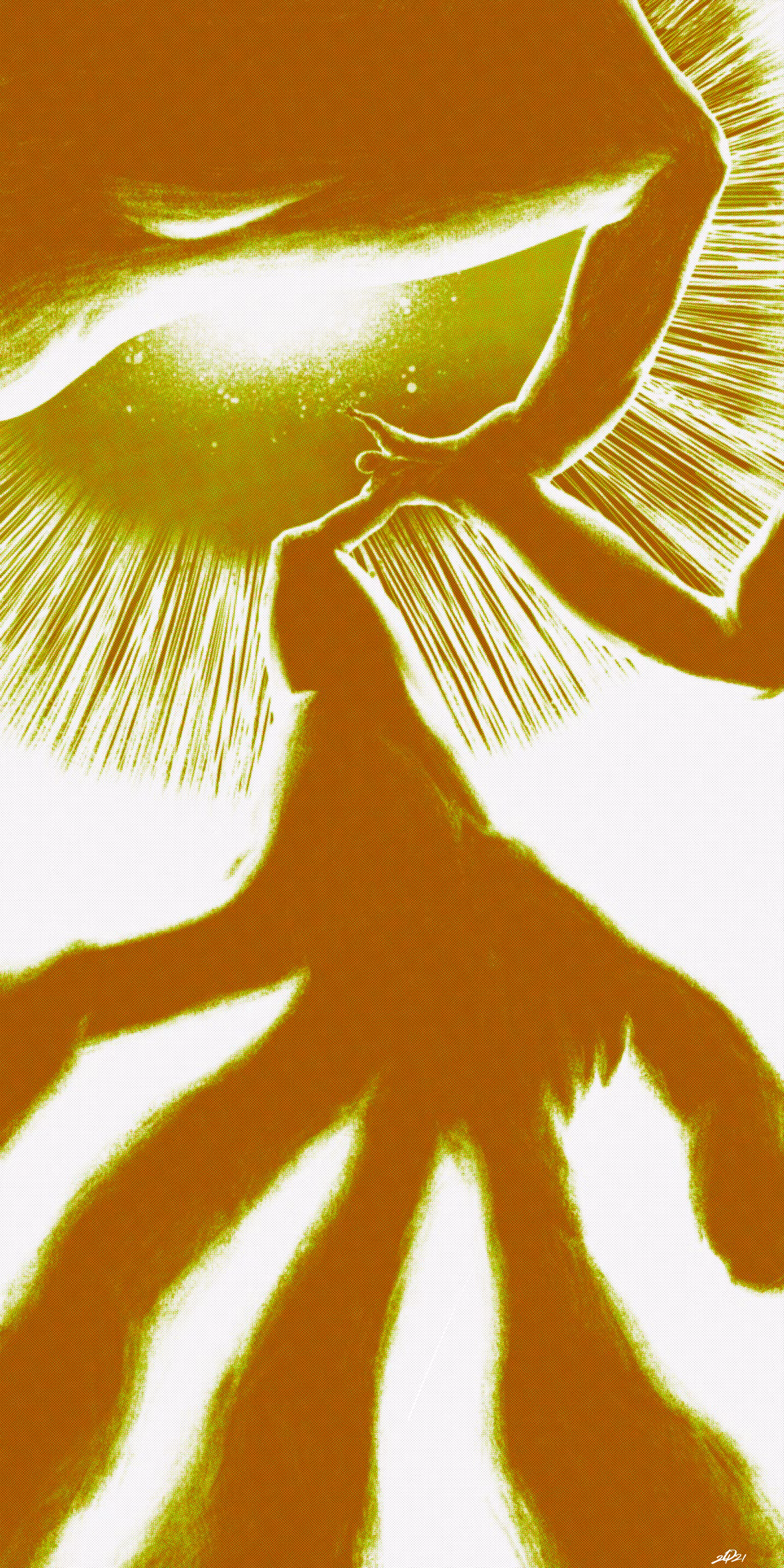 big reach
