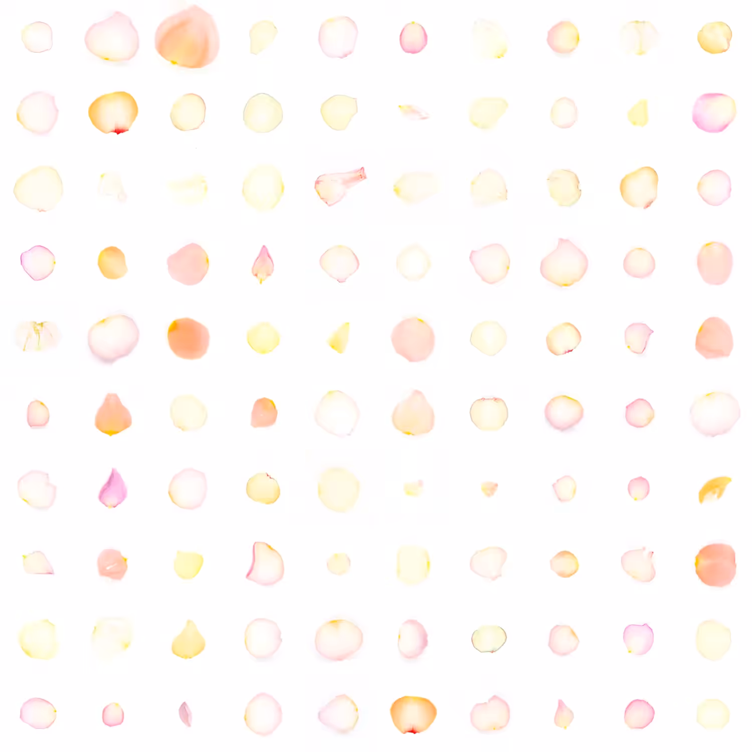 Infinite Petals 10x10#10110