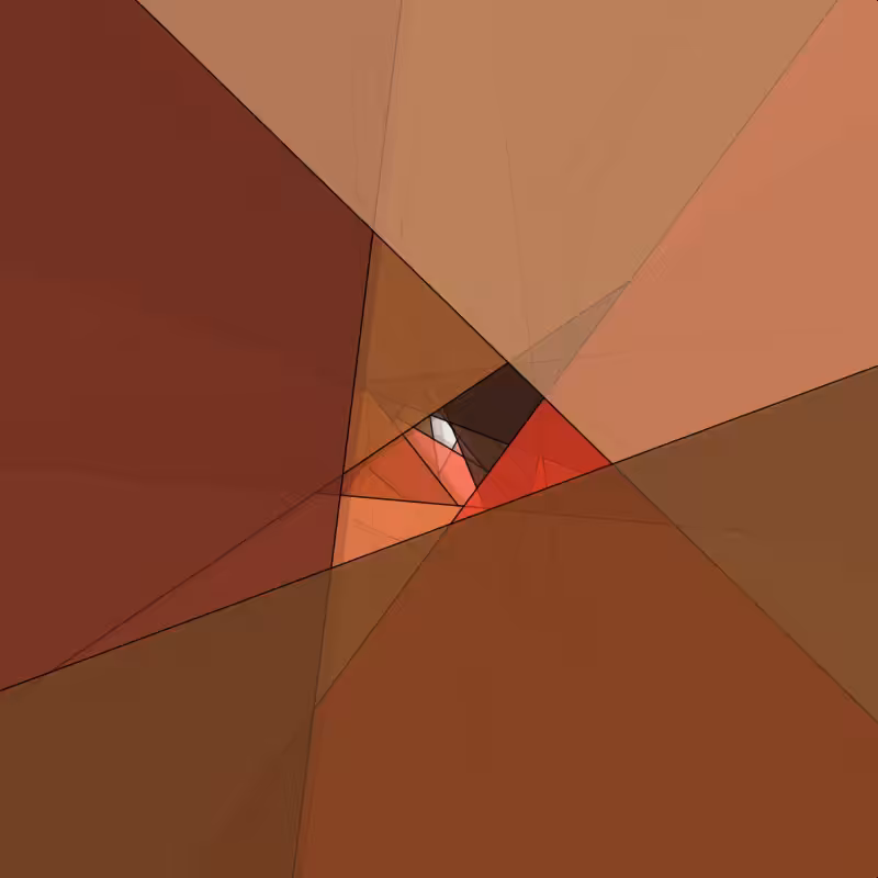 Inside the Shape #52