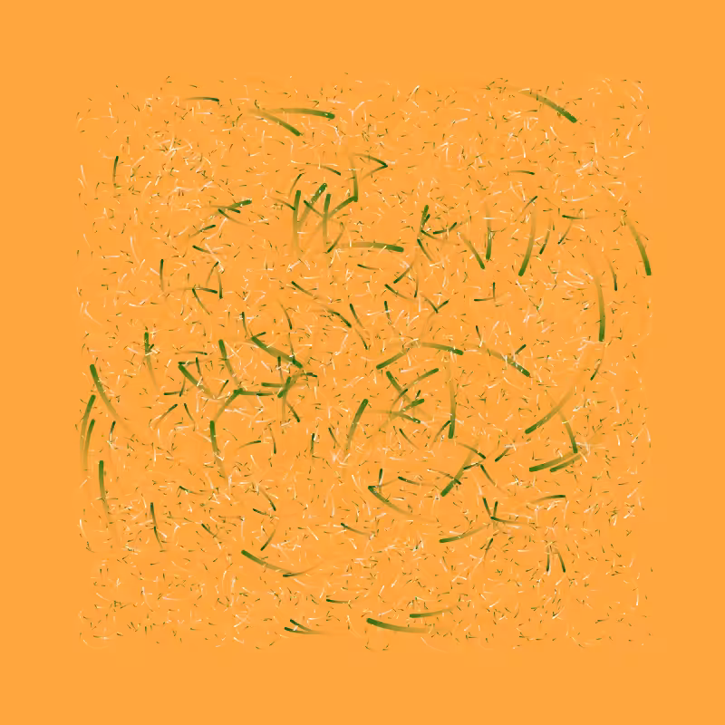Lines Experiment #55