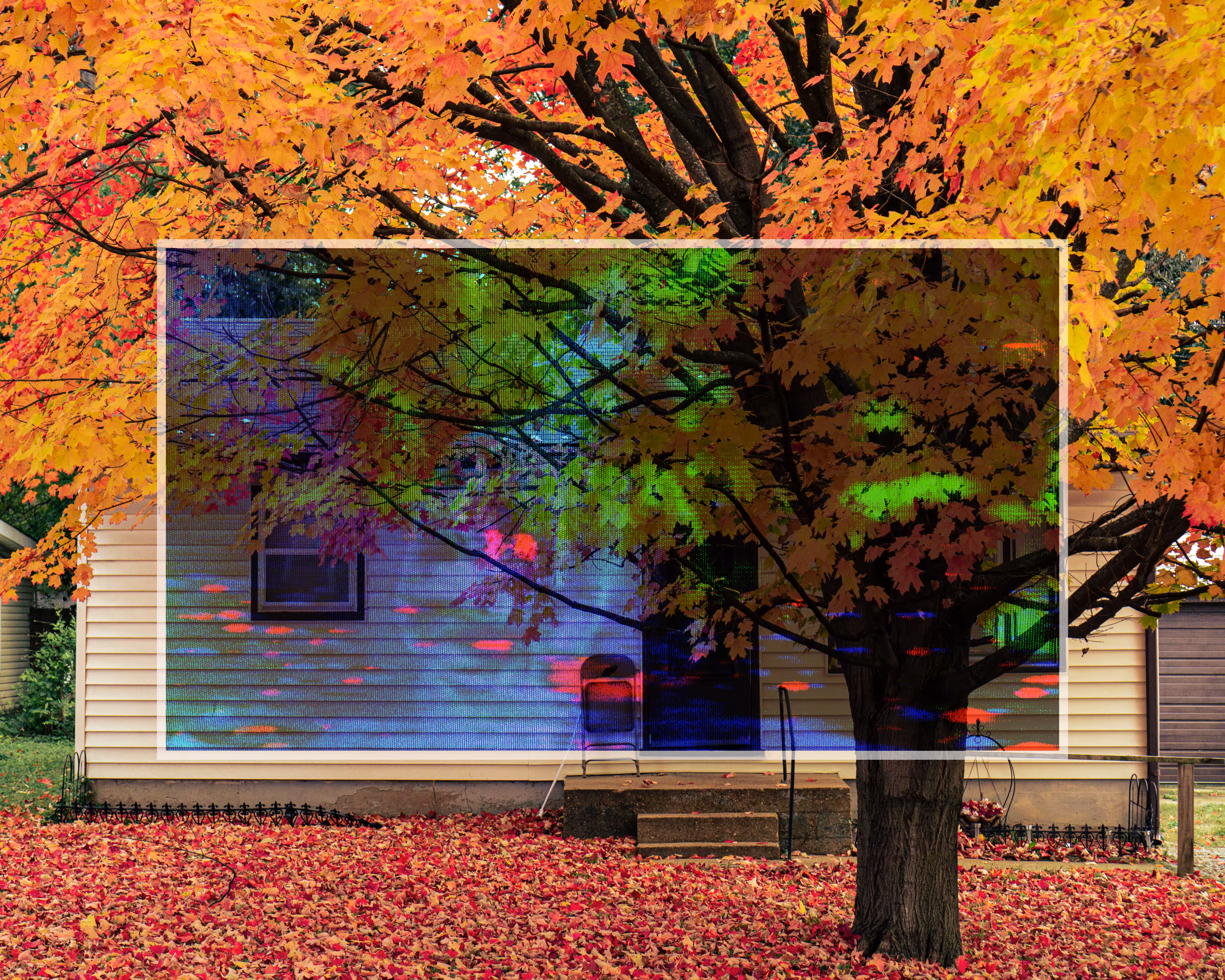 GLITCH HOUSE #0004