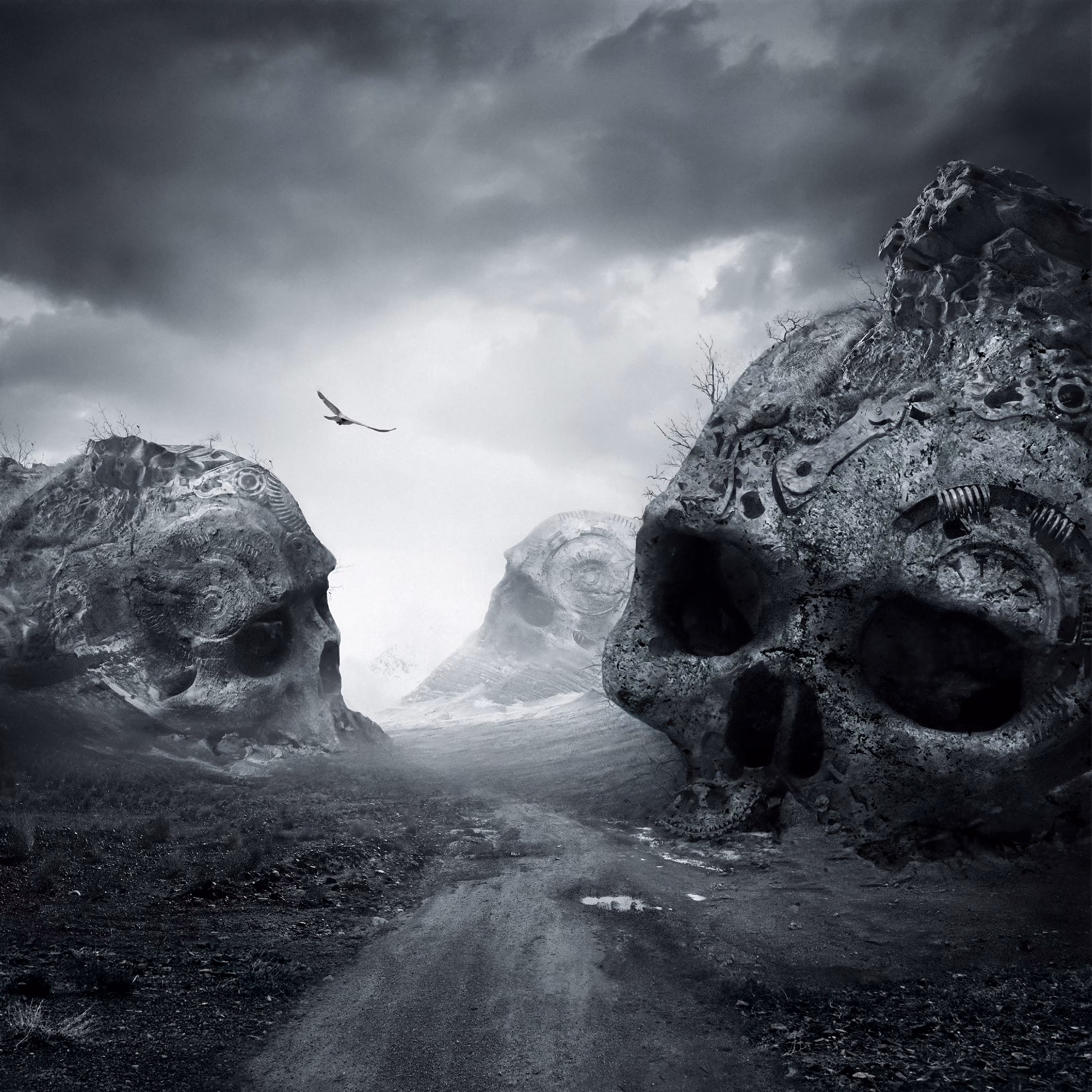 Isle of the Forgotten