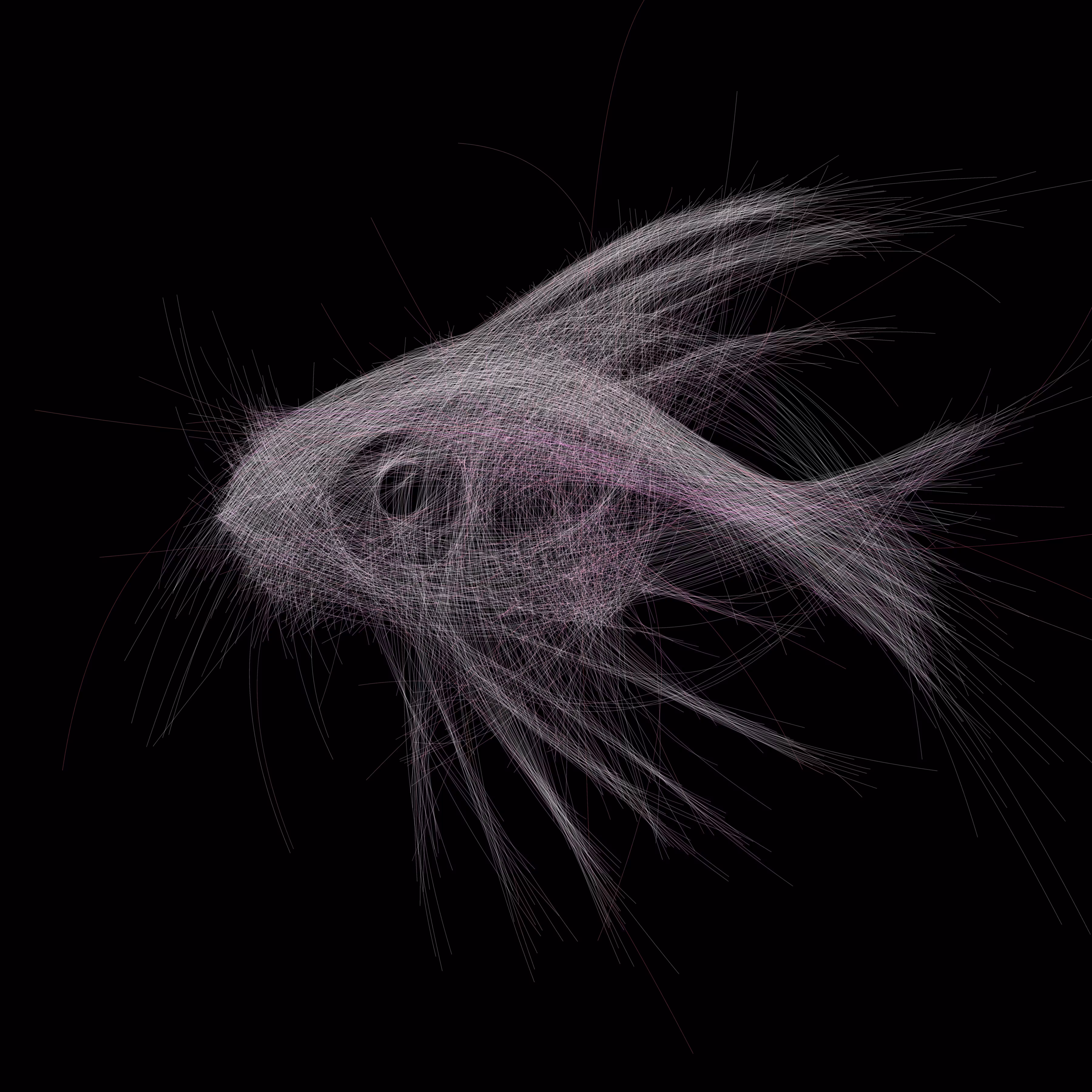 Underwater 289