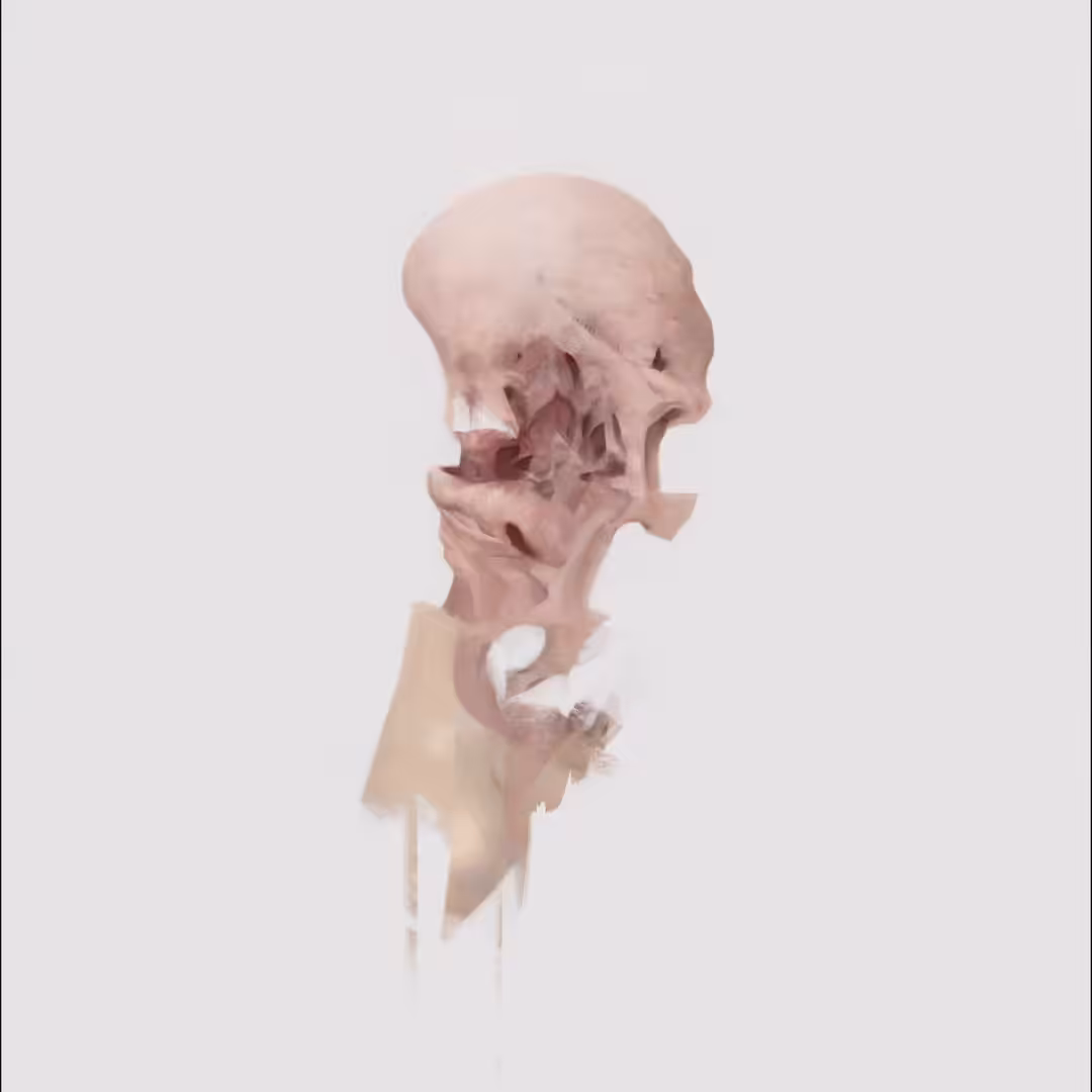 stage 1 hemostasis