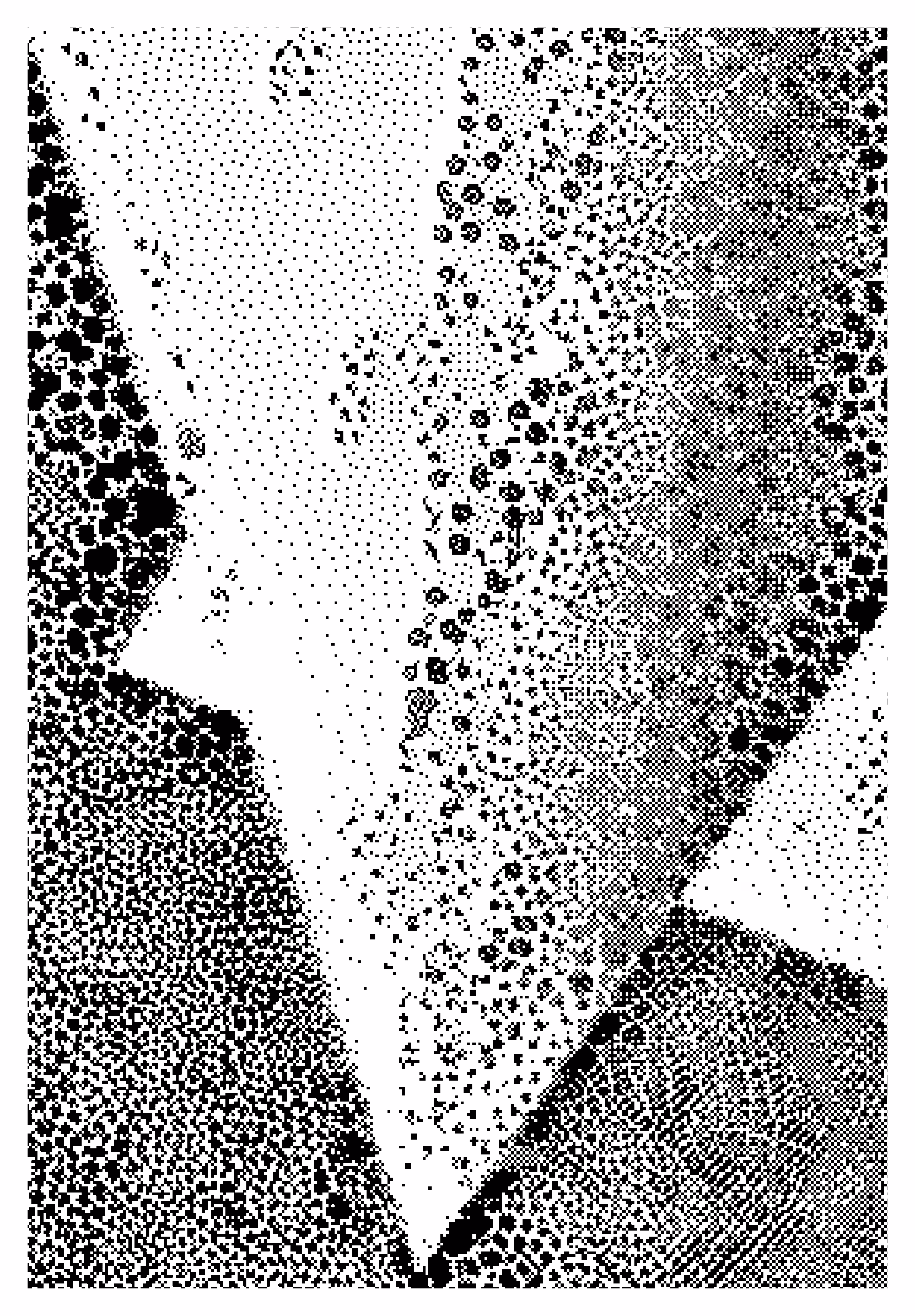 Focus_II