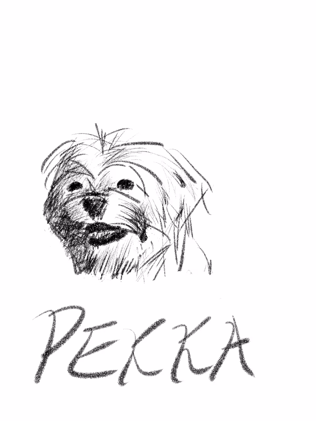 Pekka