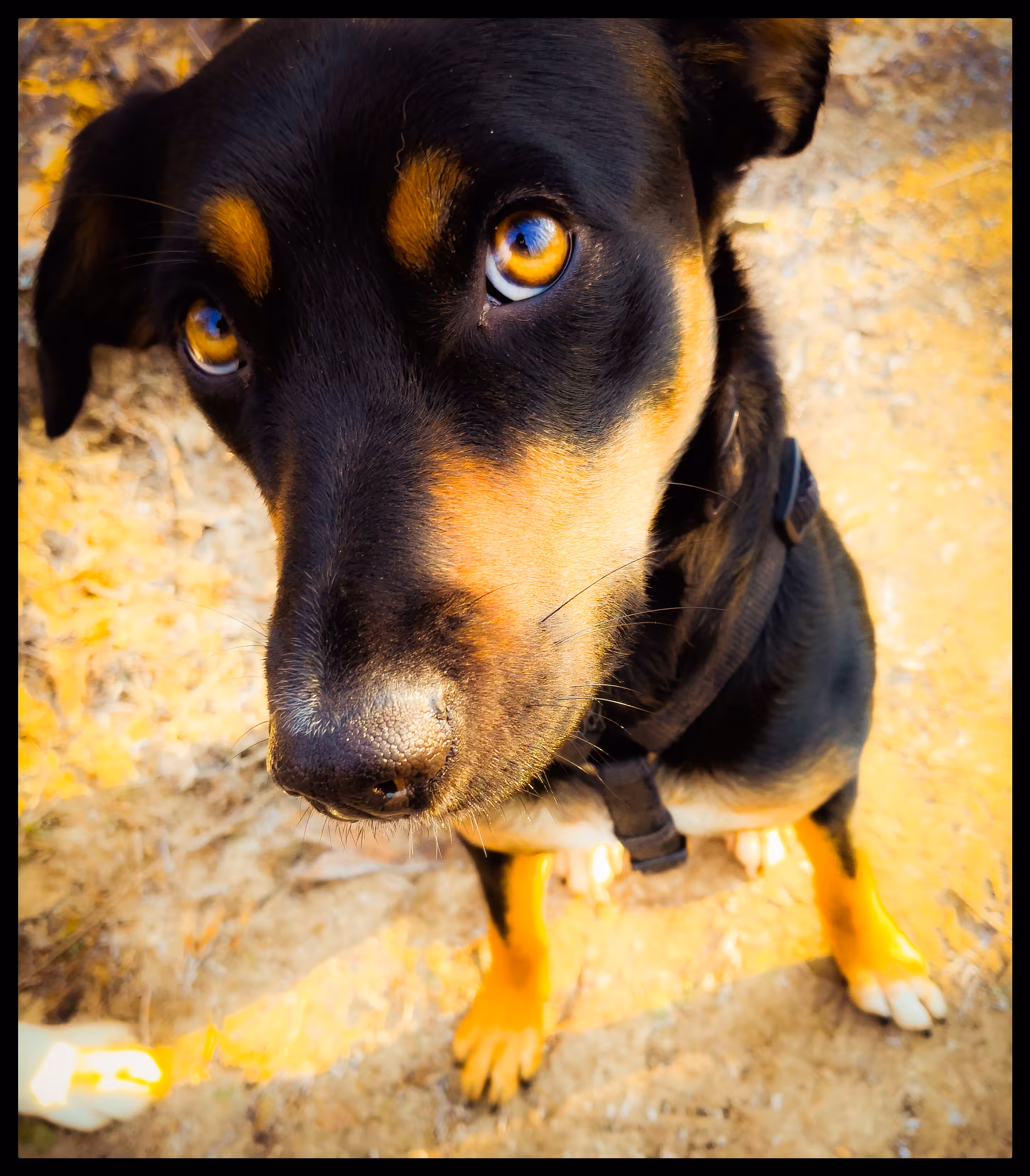 Look into my Eyes