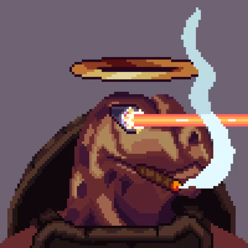 Turtles #26