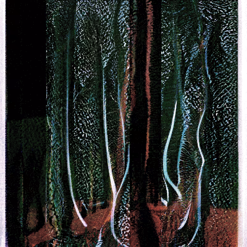 The Hum of Cyber Forest #214