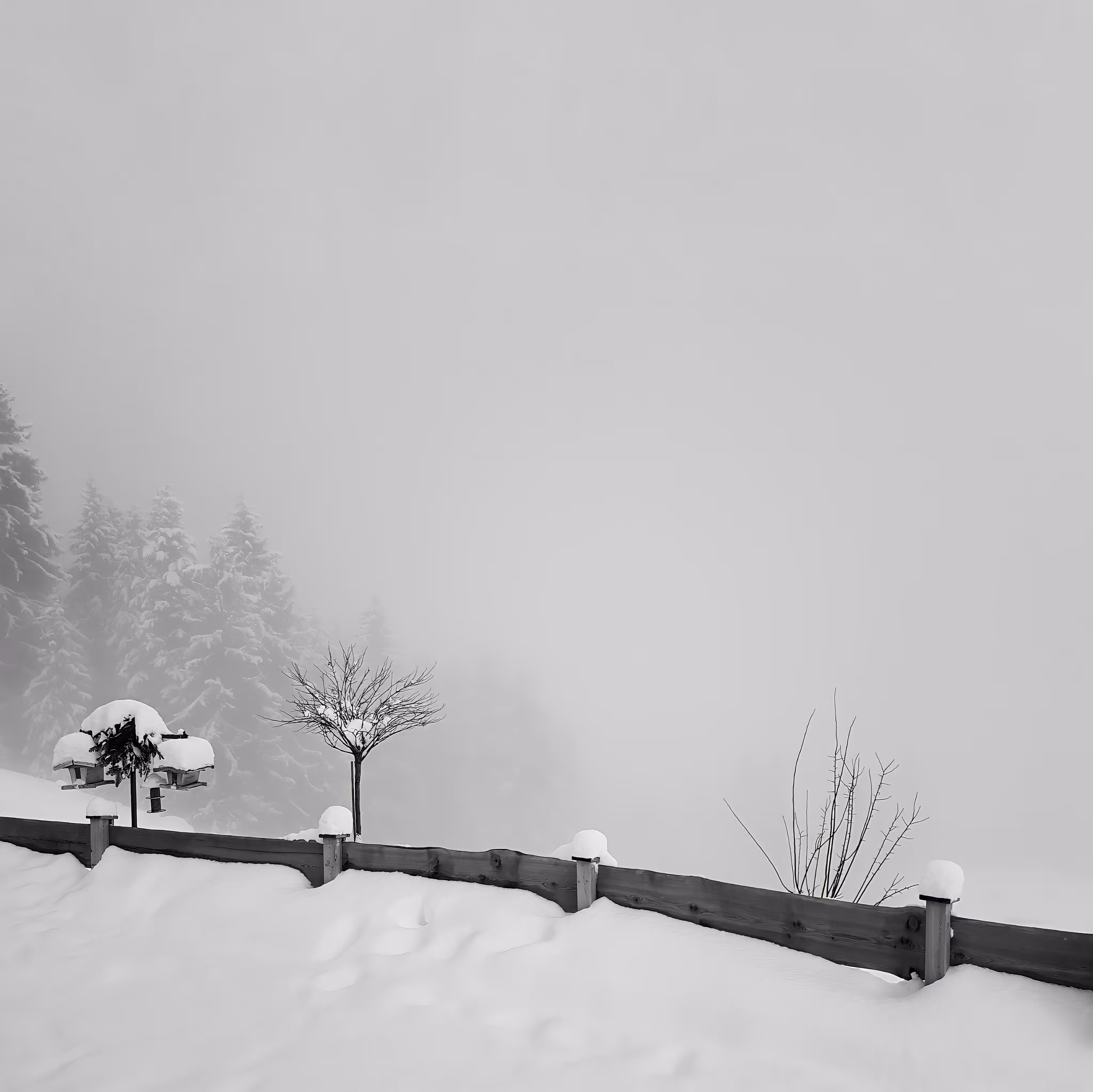 Horizon