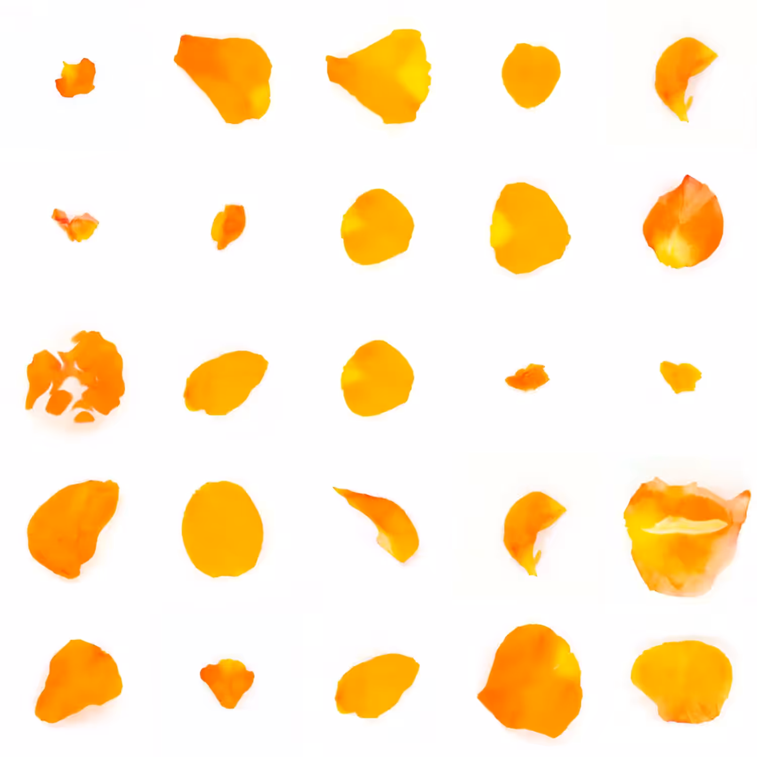 Infinite Petals 5x5#4040