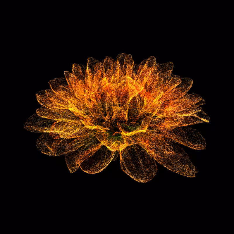 Dahlia Pinnata 30 #87