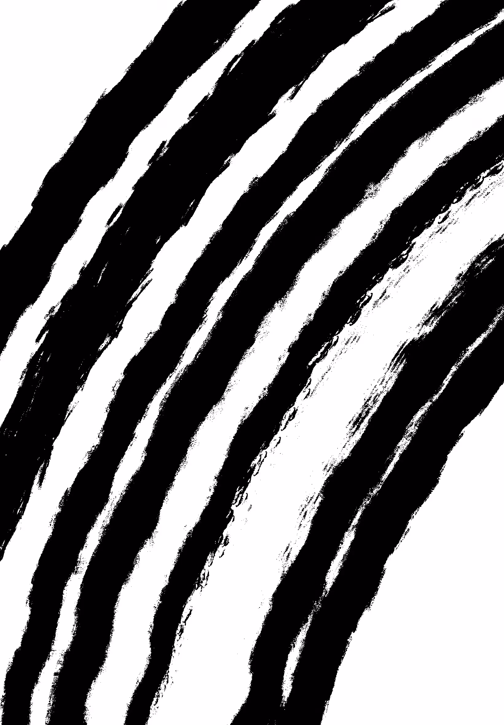 black and white collection: abstract black and white #001
