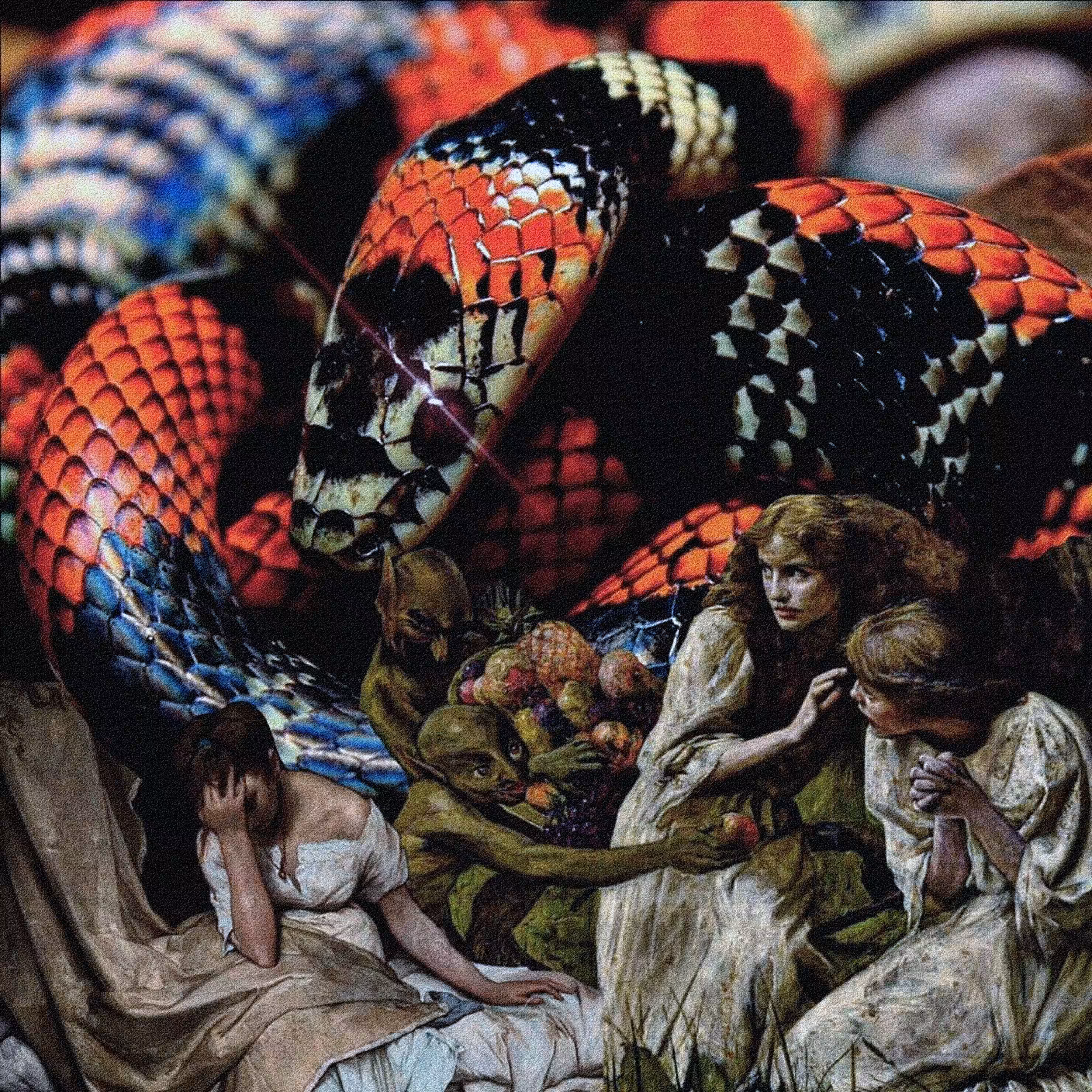 Poison The Well