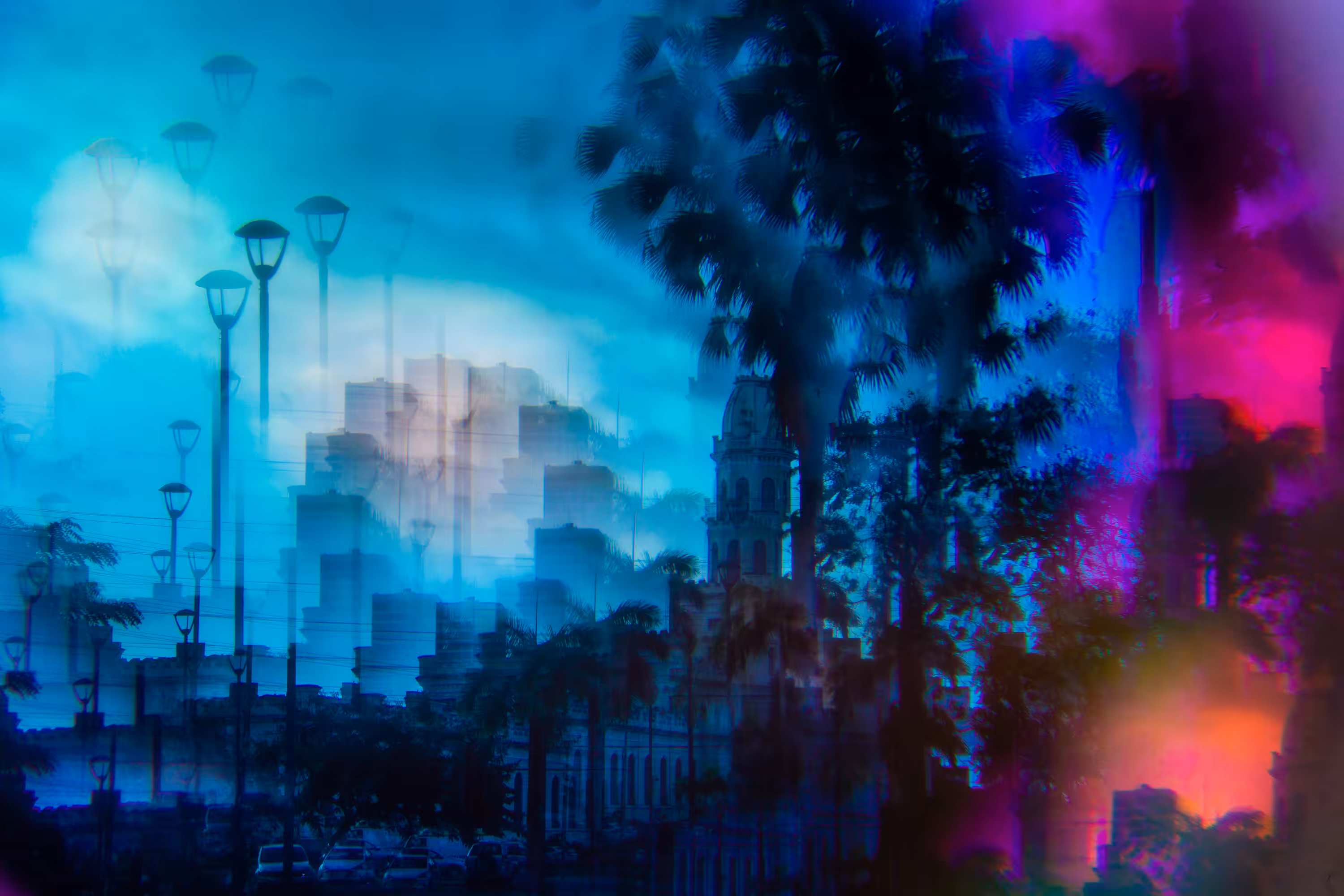 The Park