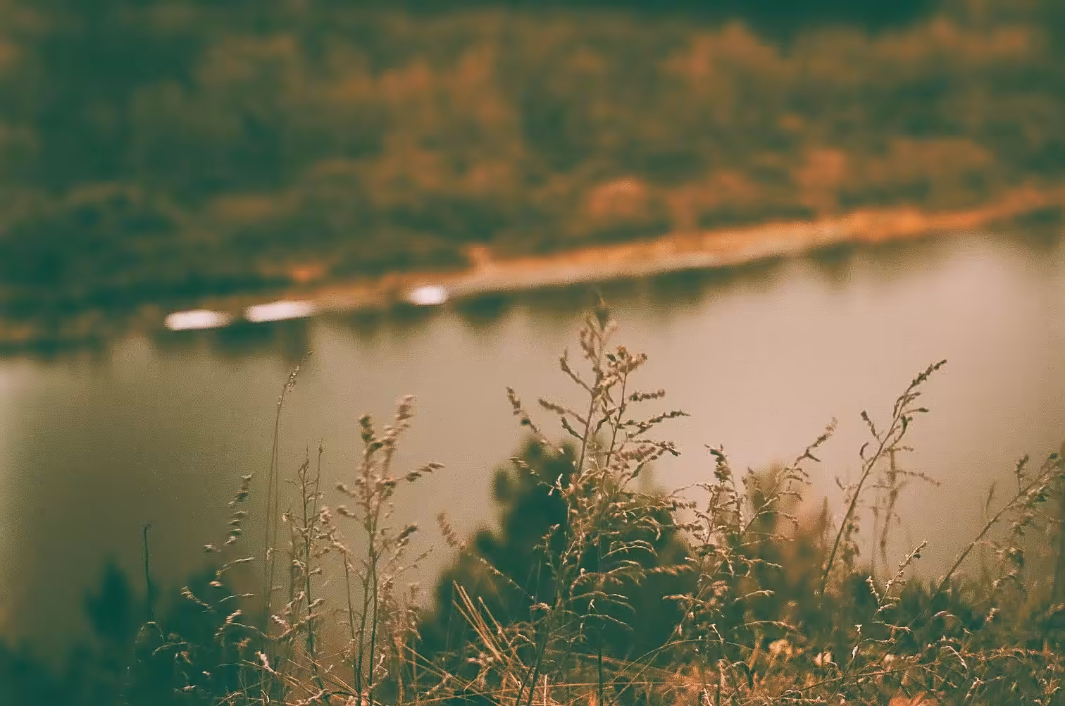 by the river