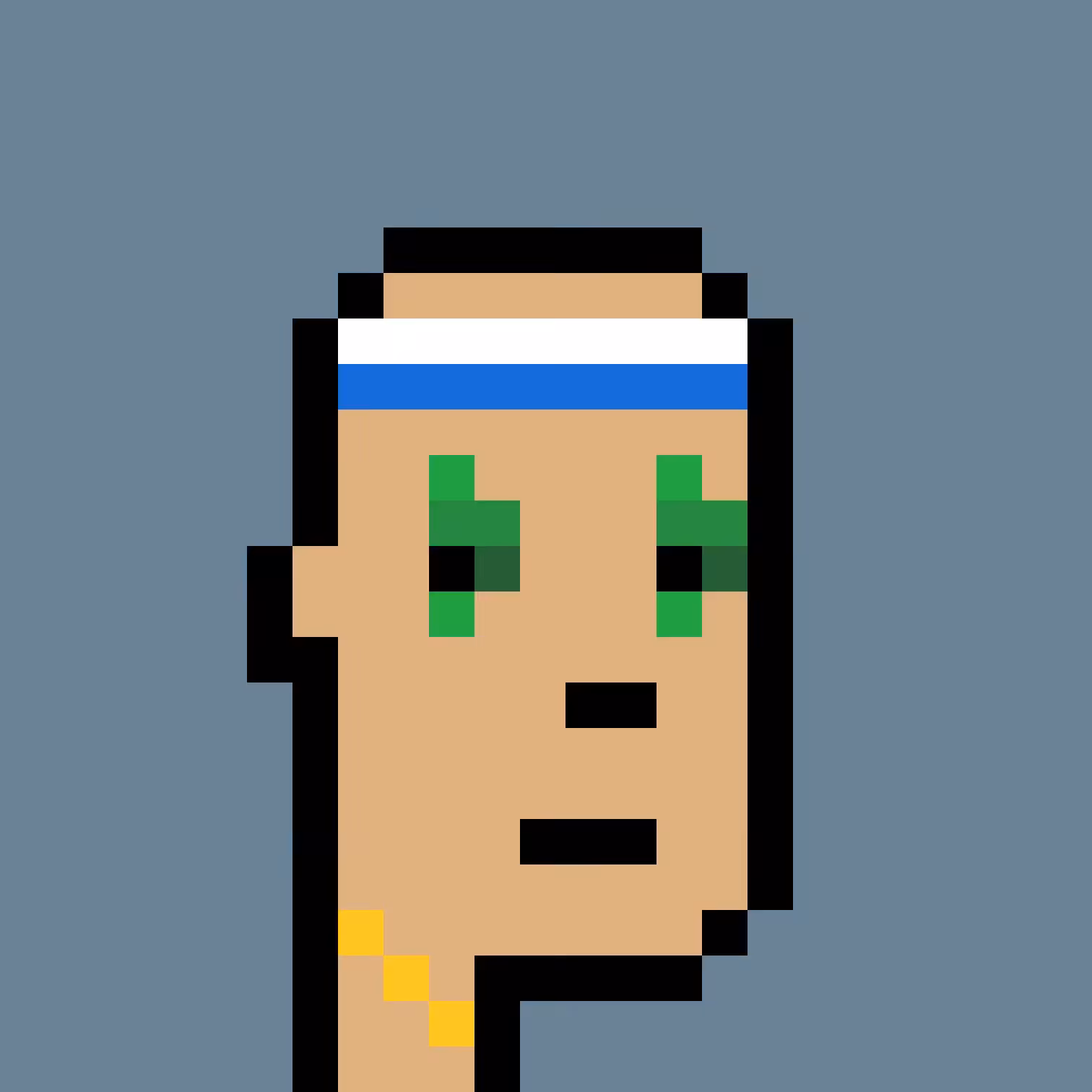 MissingPunk #103