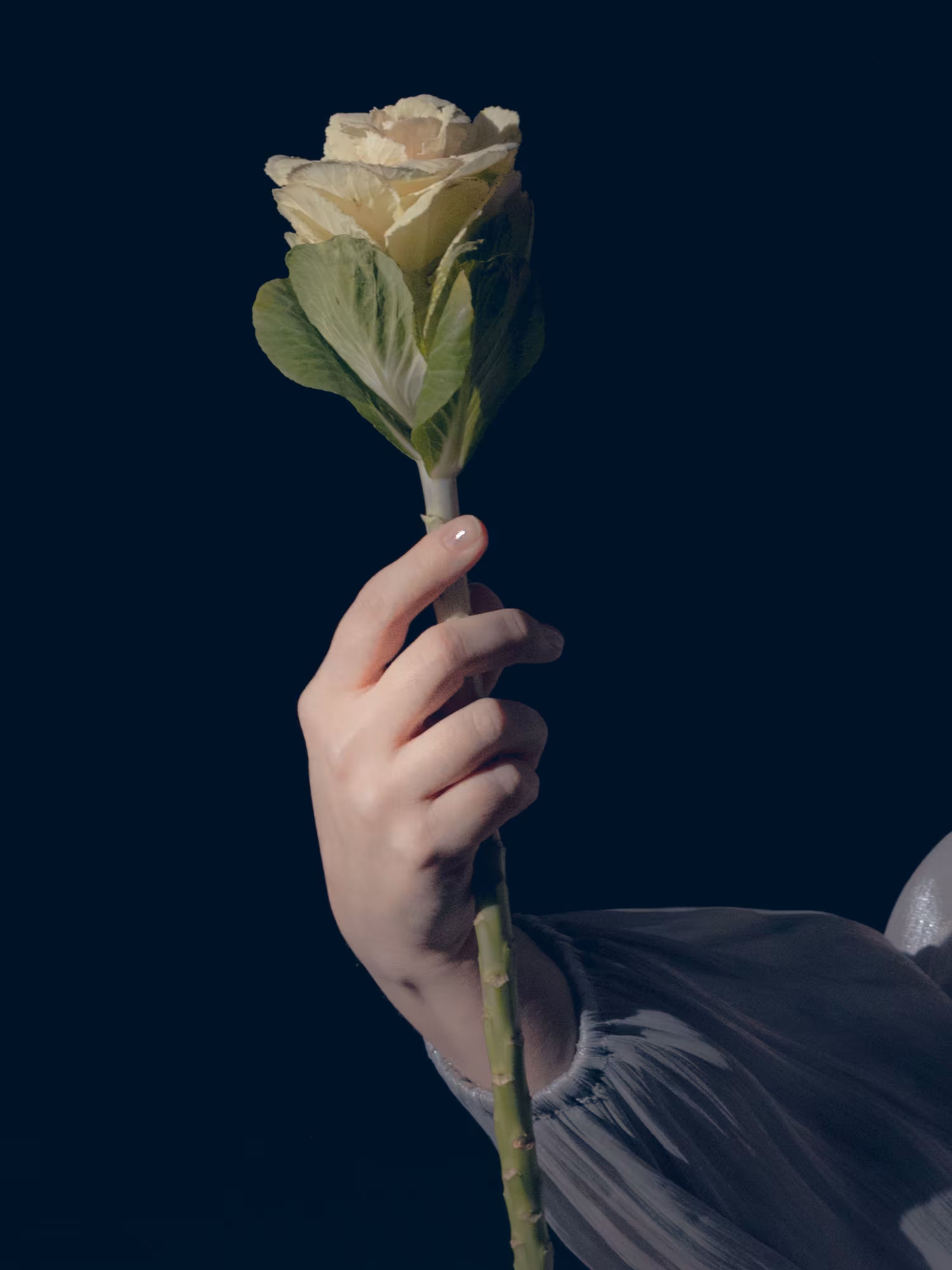 The Floral Impostor