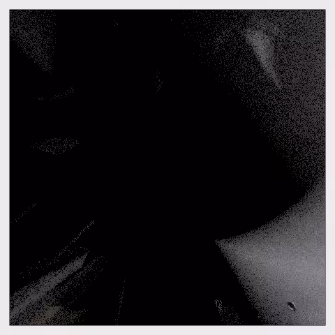 Light reverberations #105