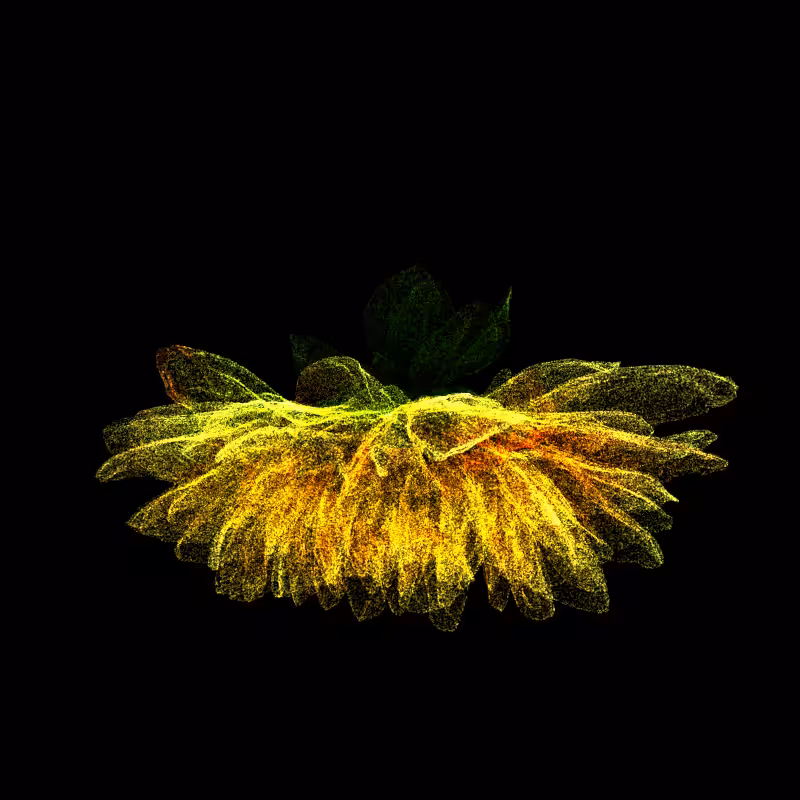 Dahlia Pinnata 30 #182