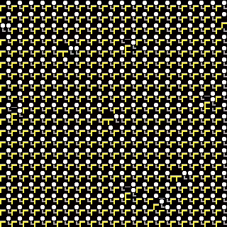 CGA Safari #77
