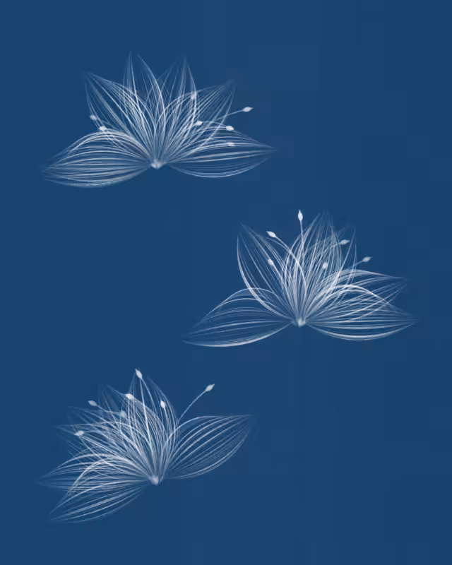Cyanotypes #35