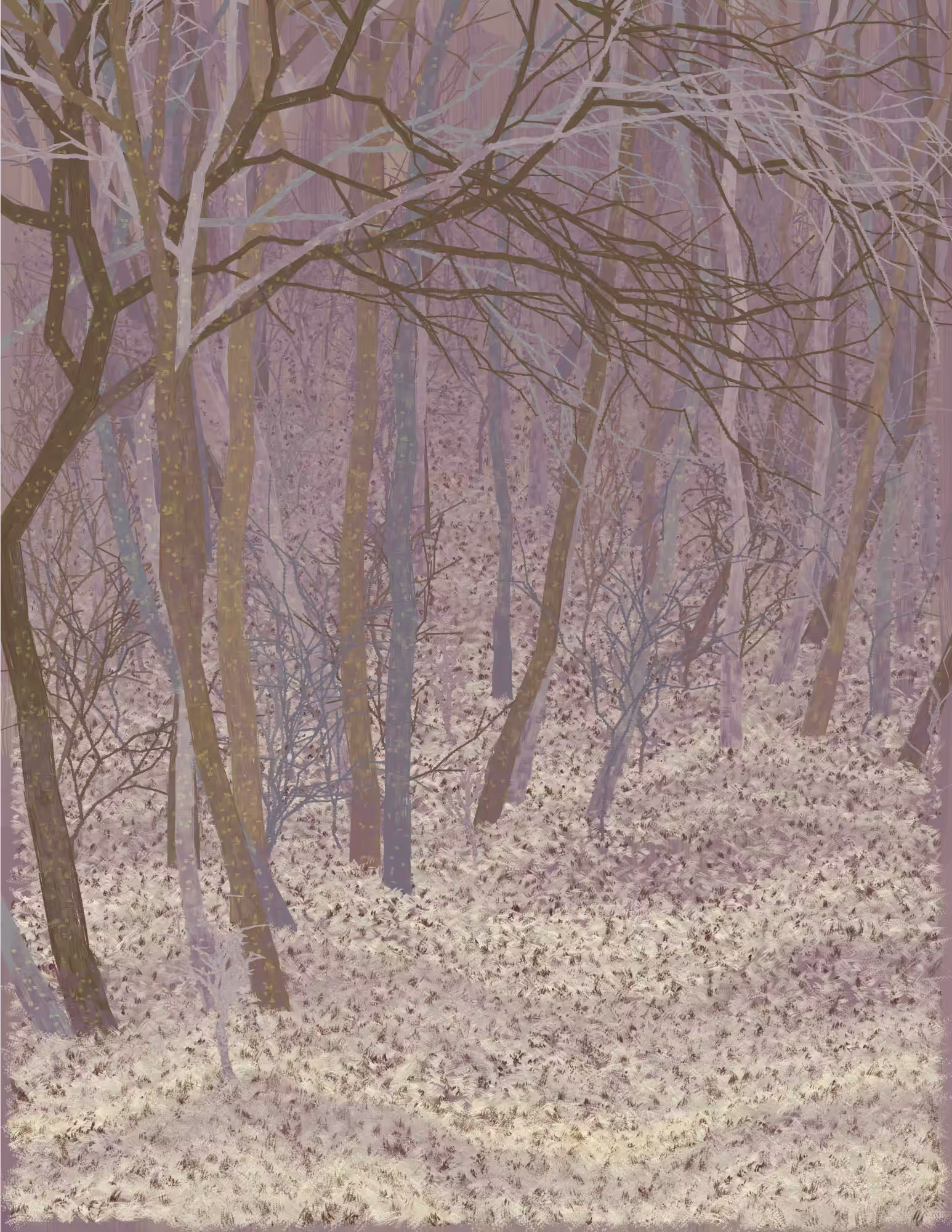 Deep Forest #254