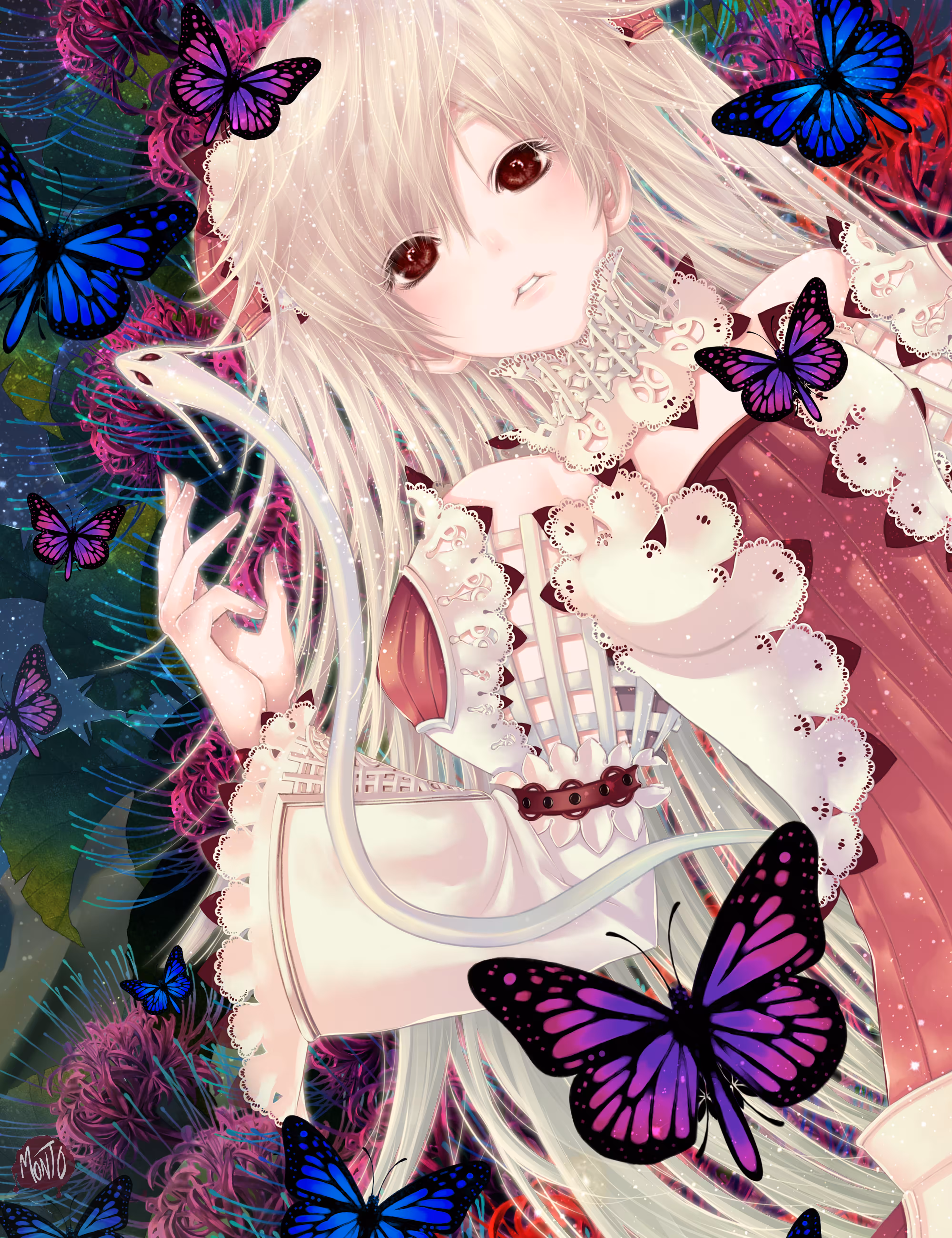 Color​s​ of​ the​ Night