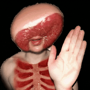 splonpoultr
