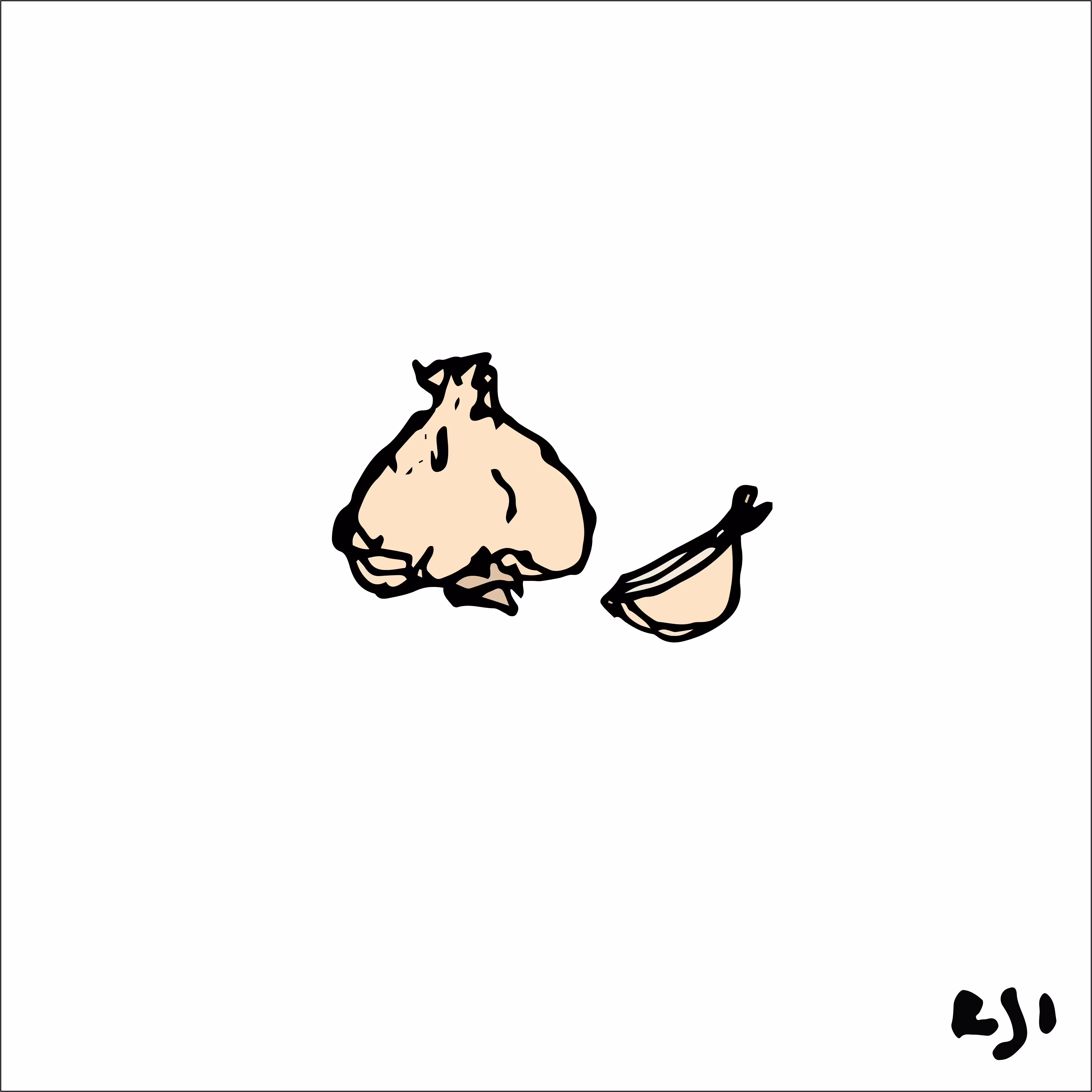 Garlic