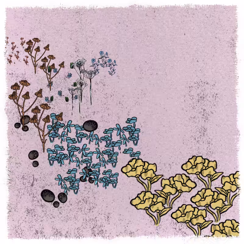 Gardens  #117