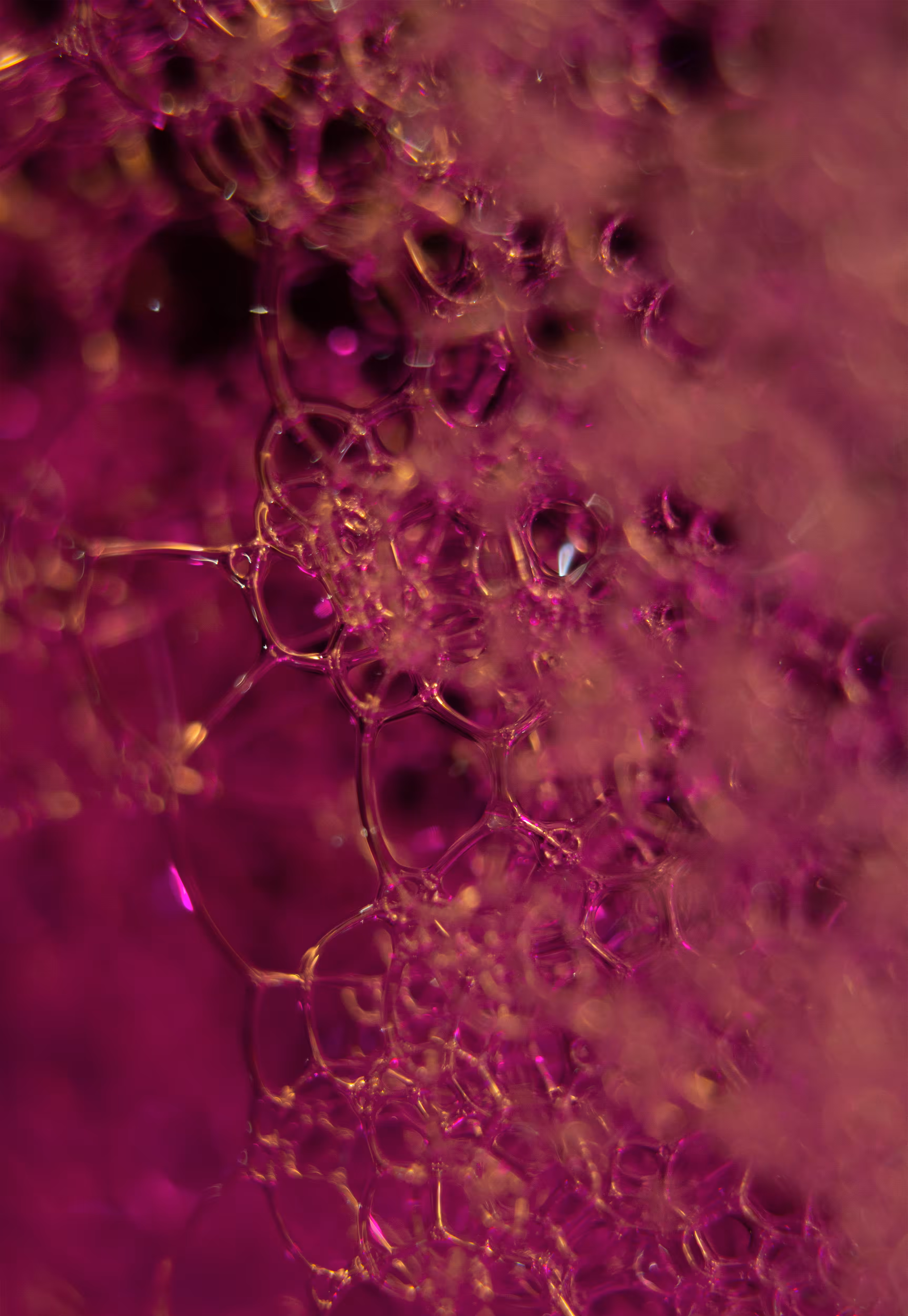 Abstract World of Soap Bubbles: #152 Bubbles