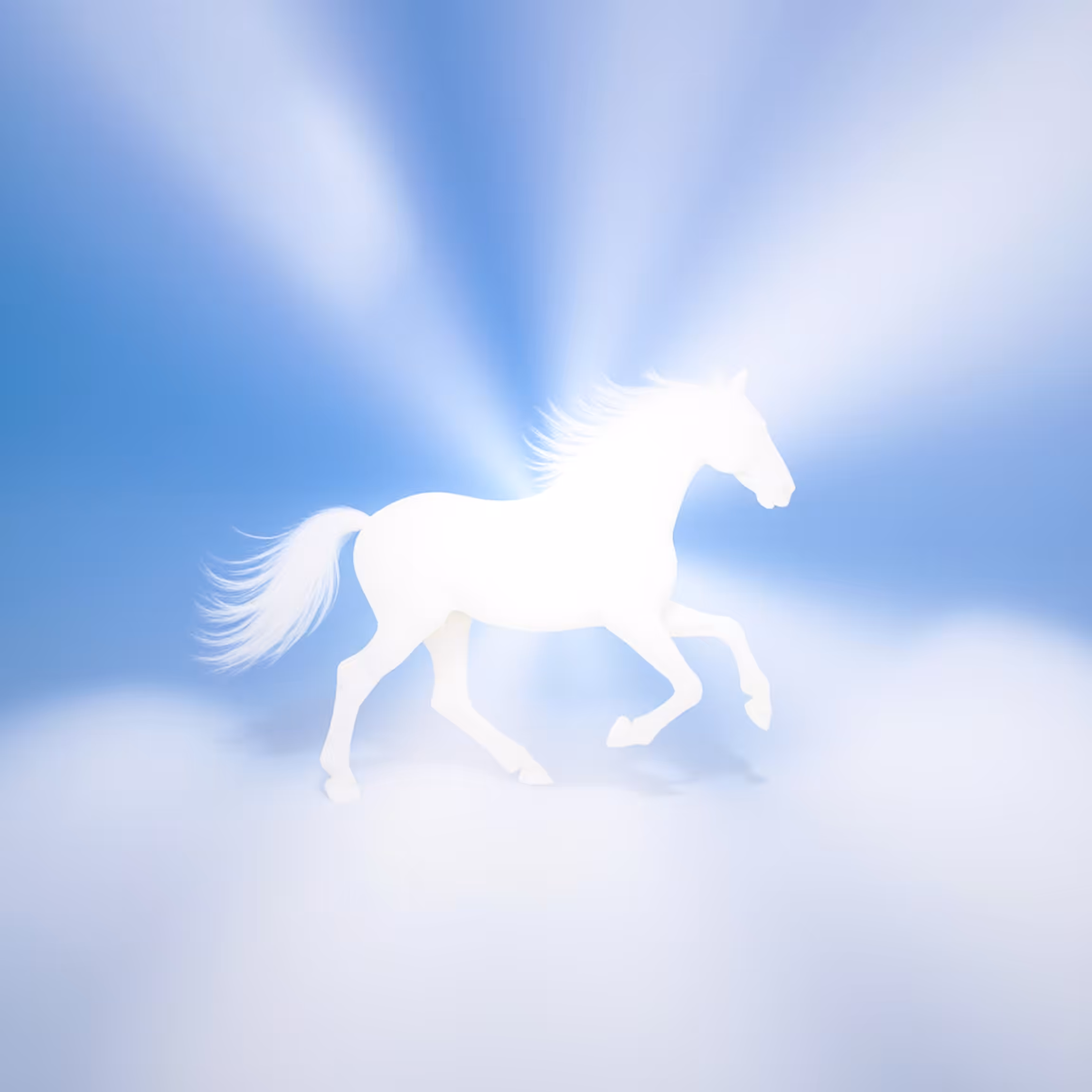 horse